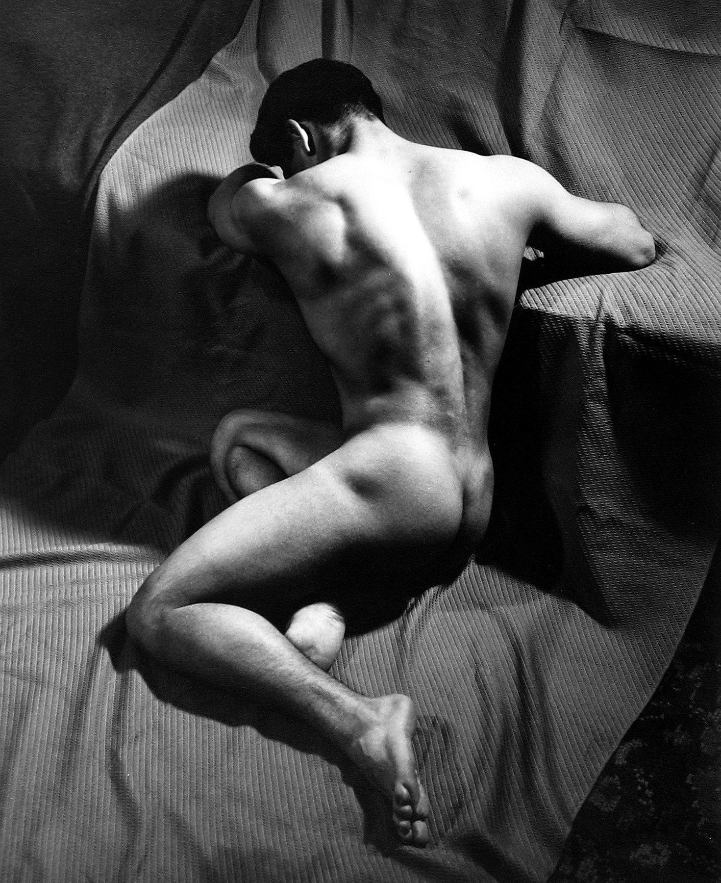 Minor White - Gino Cipolla, 1940 - Howard Greenberg Gallery