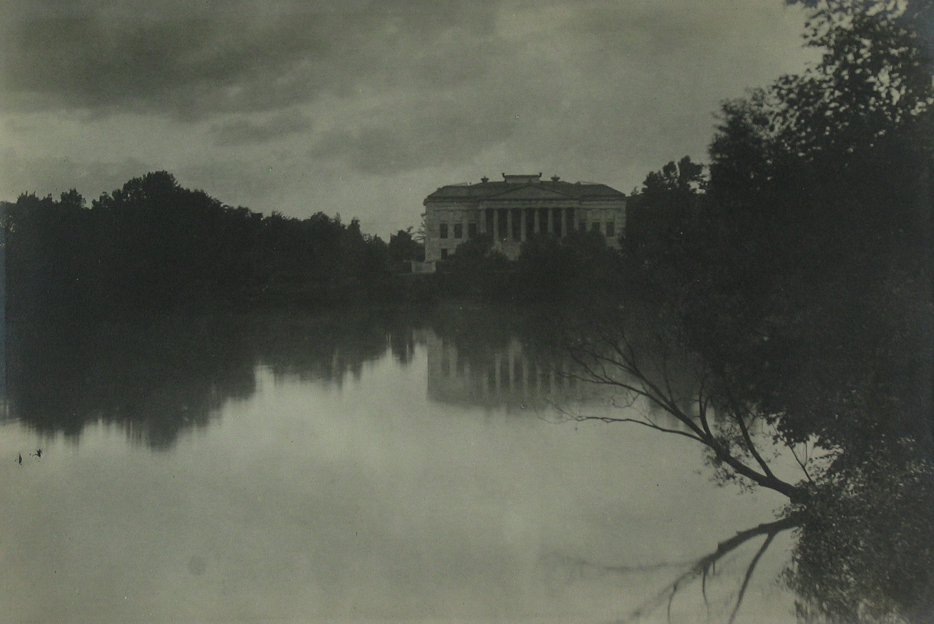 Jessie Tarbox Beals - Buffalo, c.1910 - Howard Greenberg Gallery