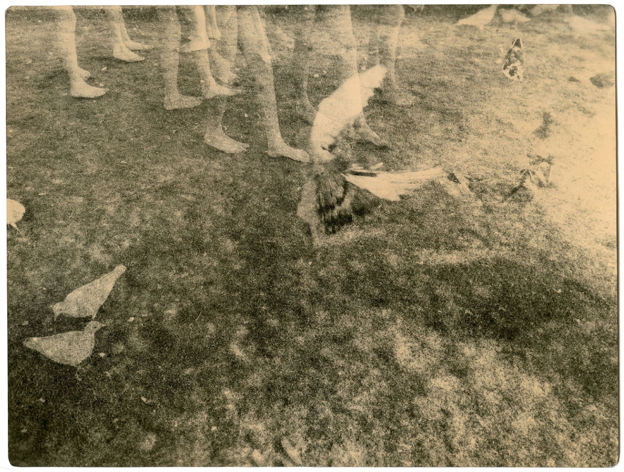 BK0181, 2017  Toned gelatin silver print  6 7/10 x 8 4/6 inches