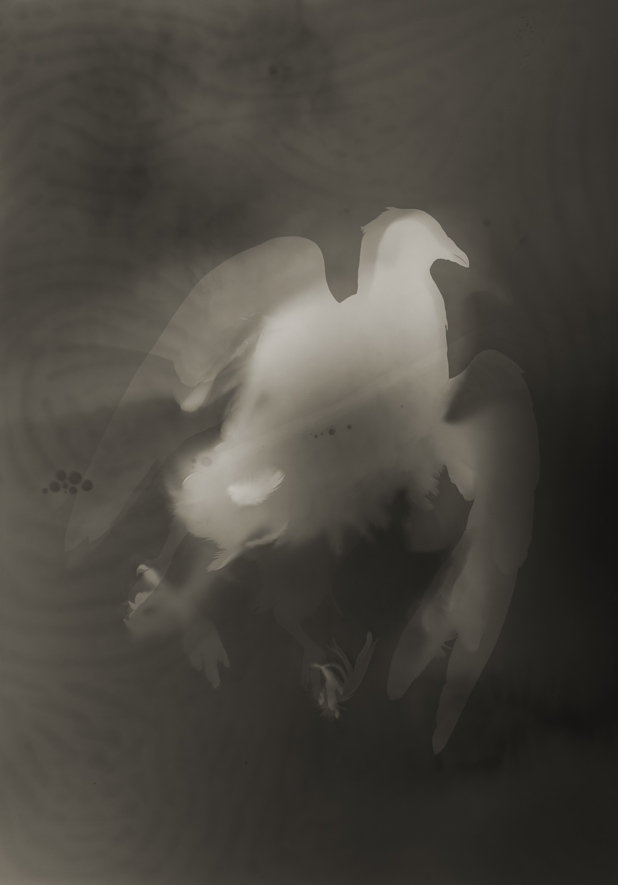 Yumiko Izu - Icarus - Howard Greenberg Gallery - 2018