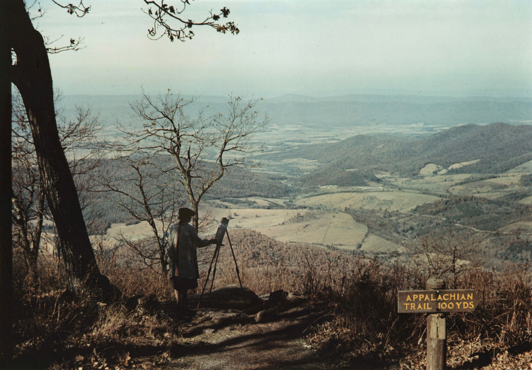 Jack Delano - Man painting from Skyline Drive, Shenandoah Valley, VA, c.1940 - Howard Greenberg Gallery