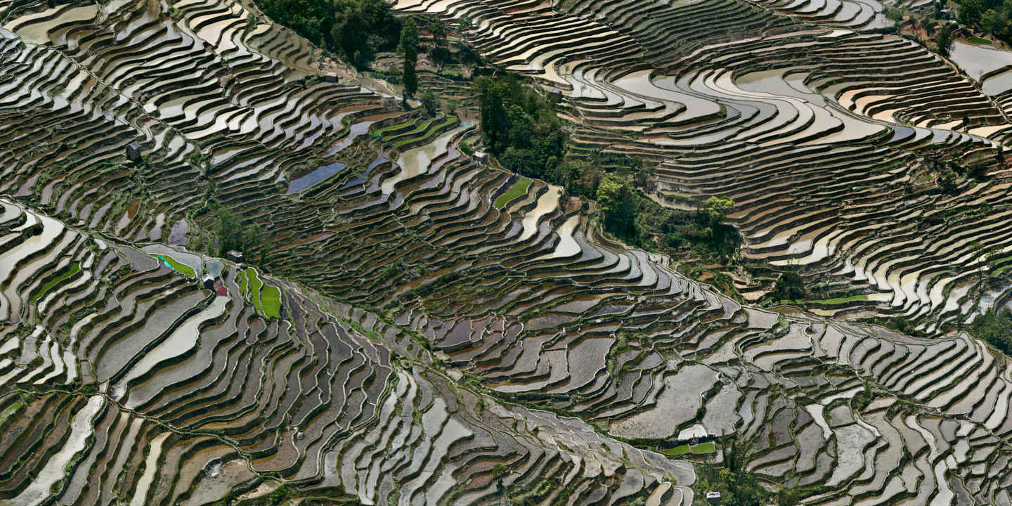 Edward Burtynsky, Rice Terraces #3c, Western Yunnan Province, China 2012