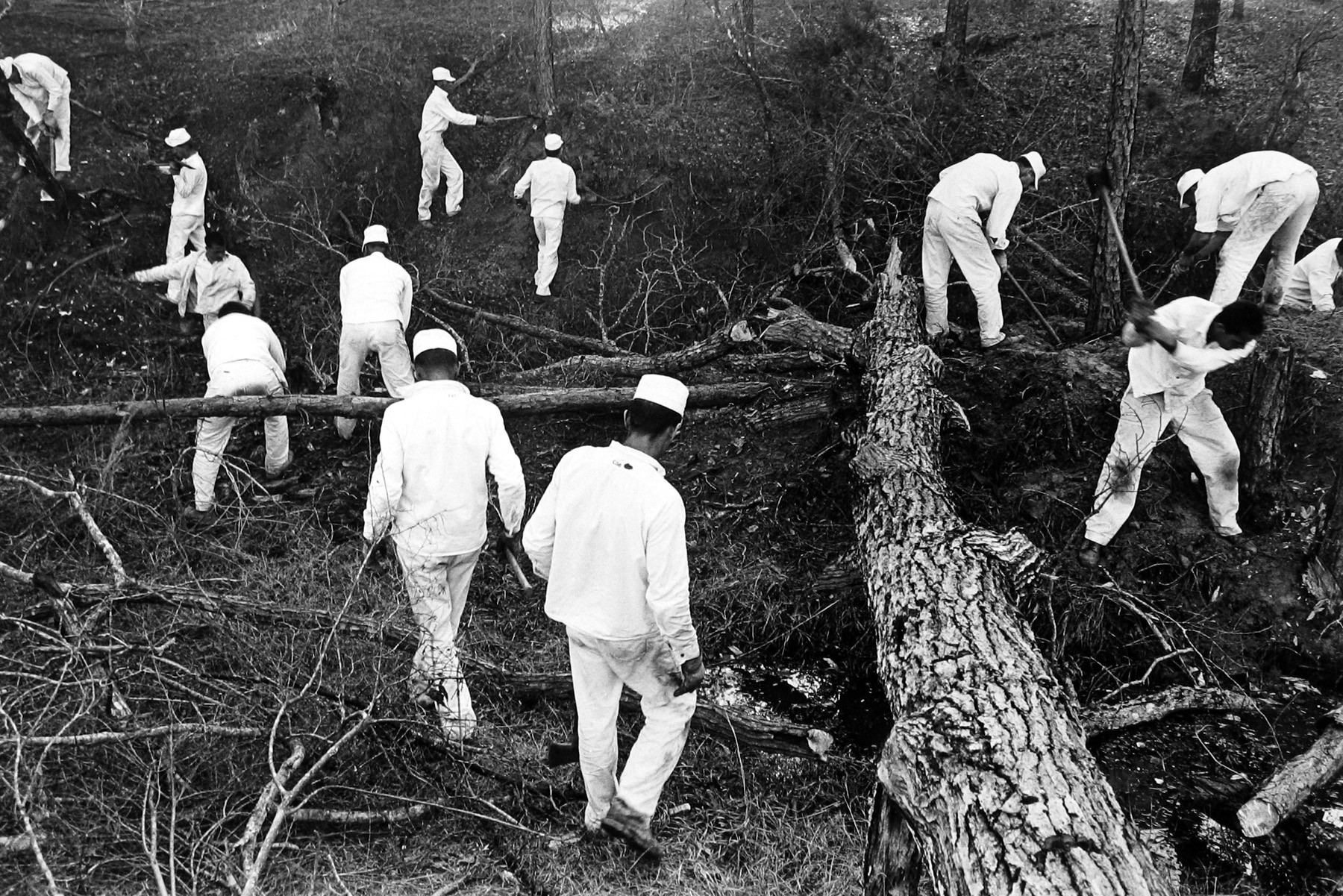 Danny Lyon, Ellis Woods, 1968