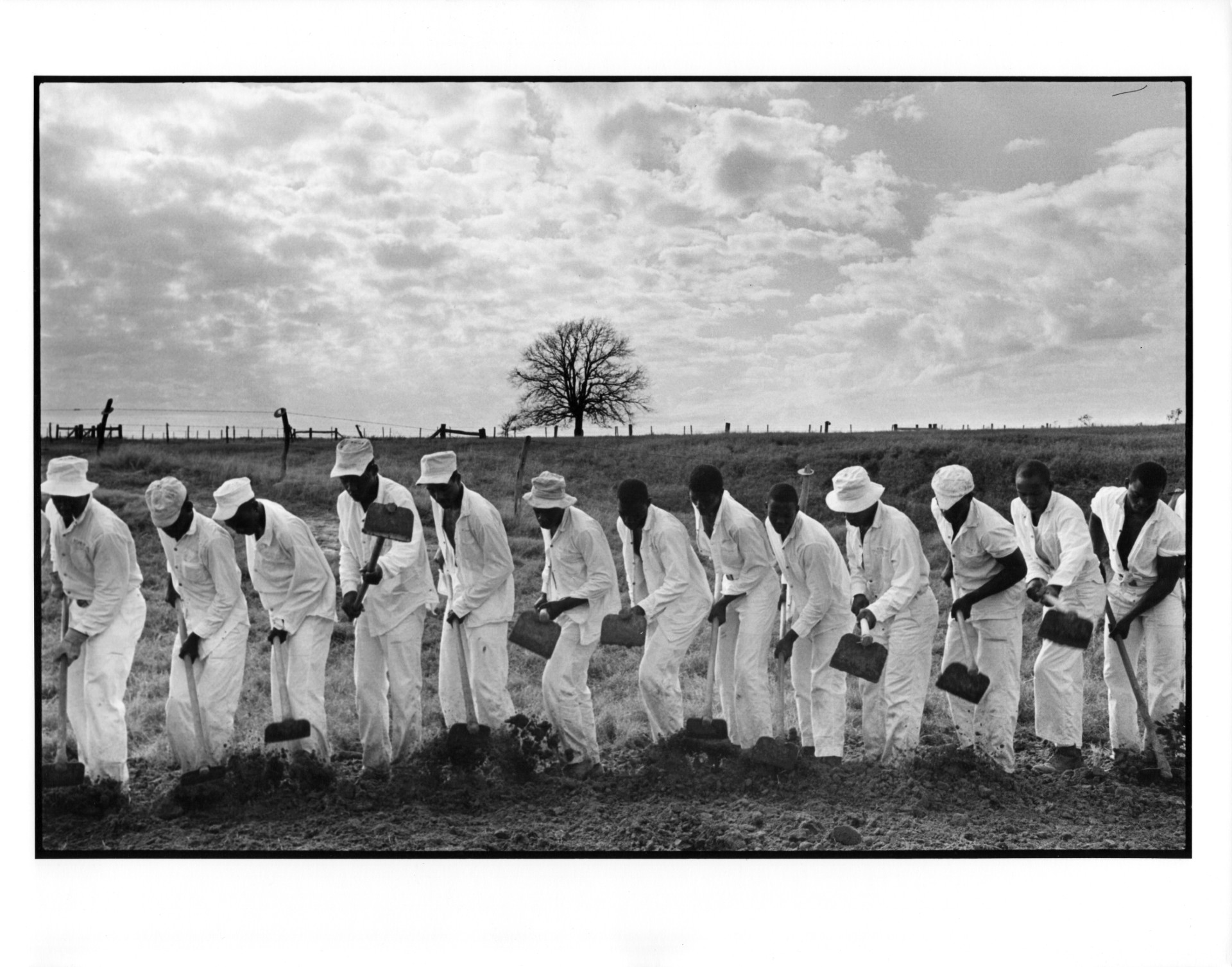 Danny Lyon, The line, Ferguson, Texas,  1968