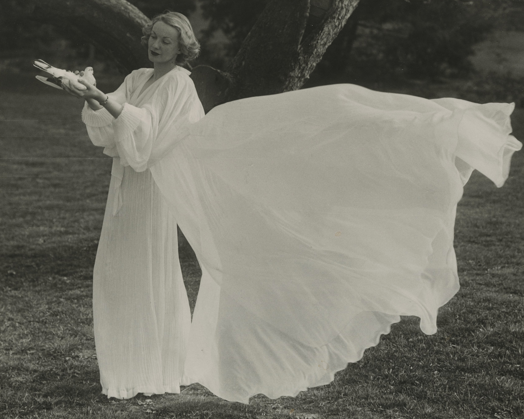 Martin Munkácsi Howard Greenberg gallery 2023