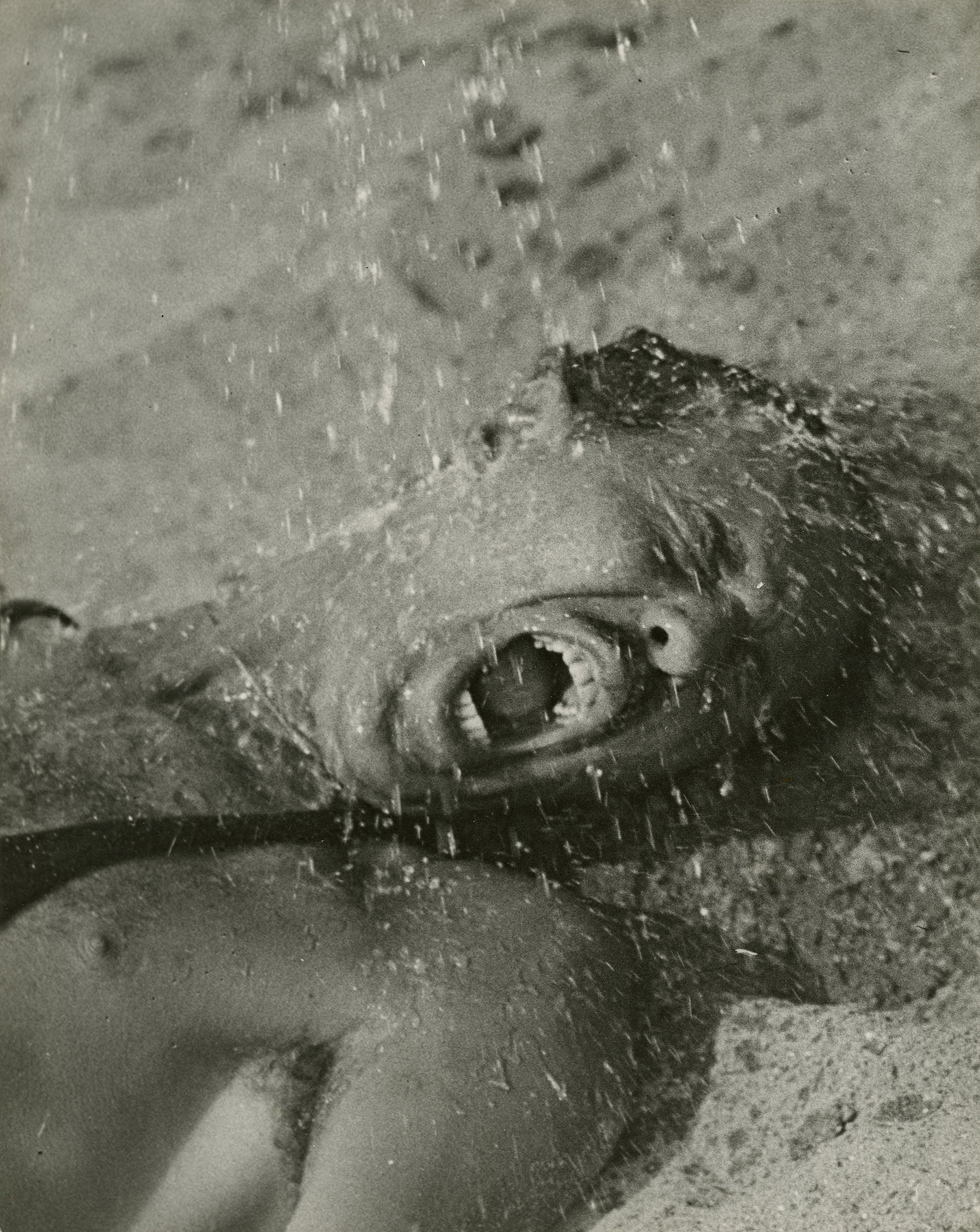 Martin Munkácsi howard greenberg gallery 2023