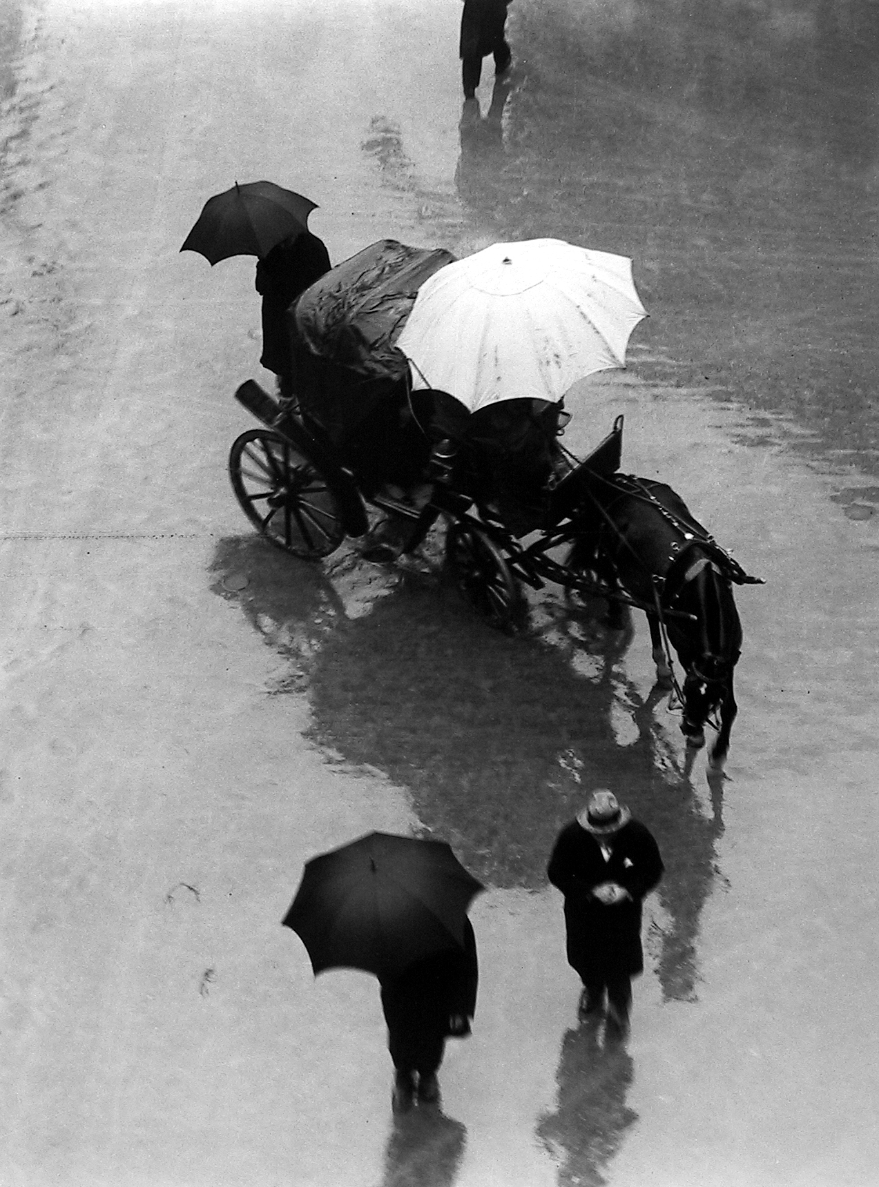 Martin Munkácsi howard greenberg gallery 2023