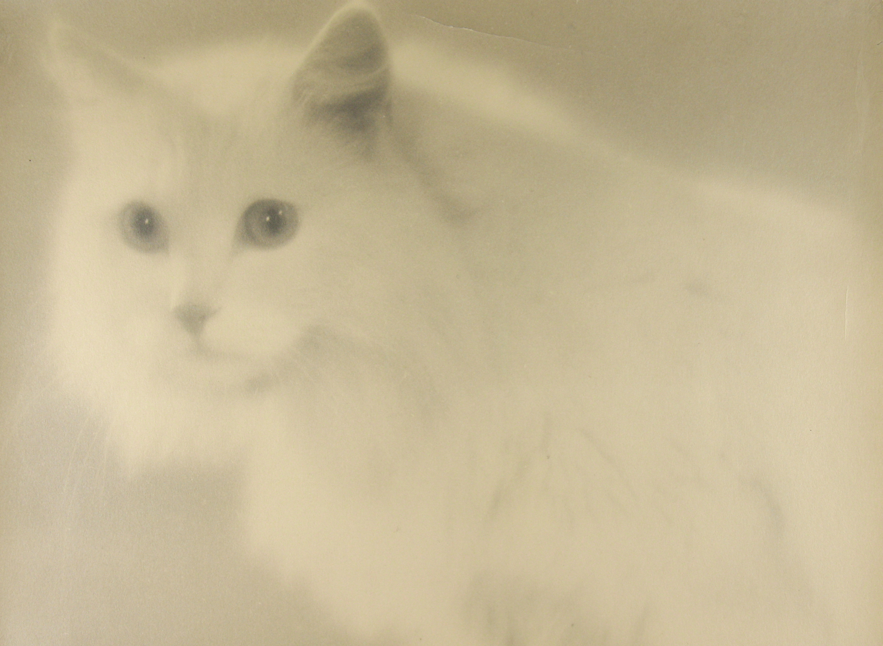 Martin Munkácsi howard greenberg gallery 2023