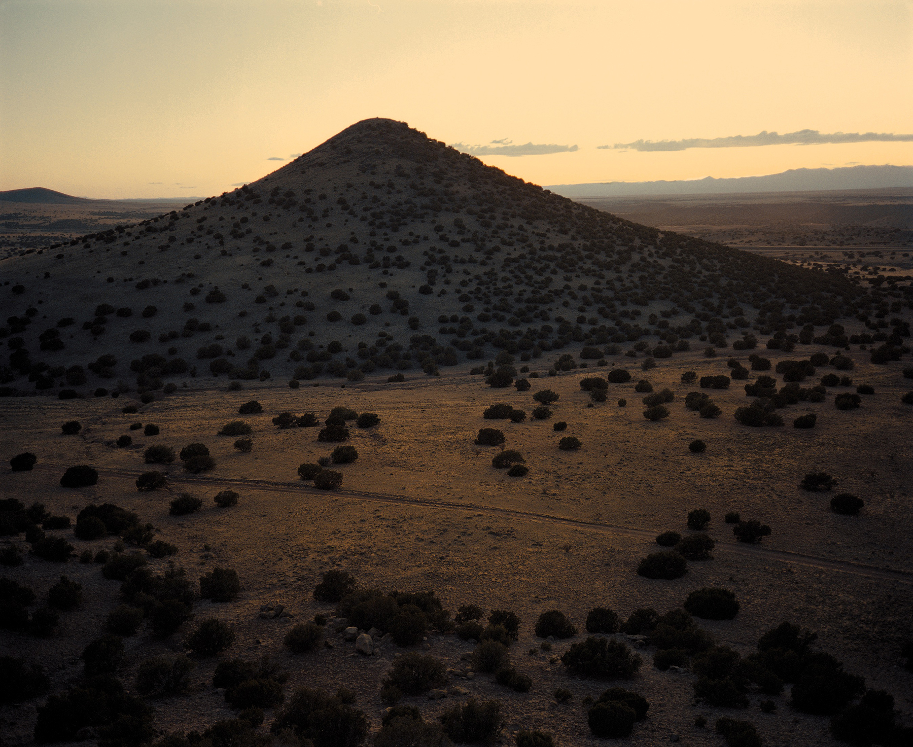 Wim Wenders howard greenberg gallery 2023