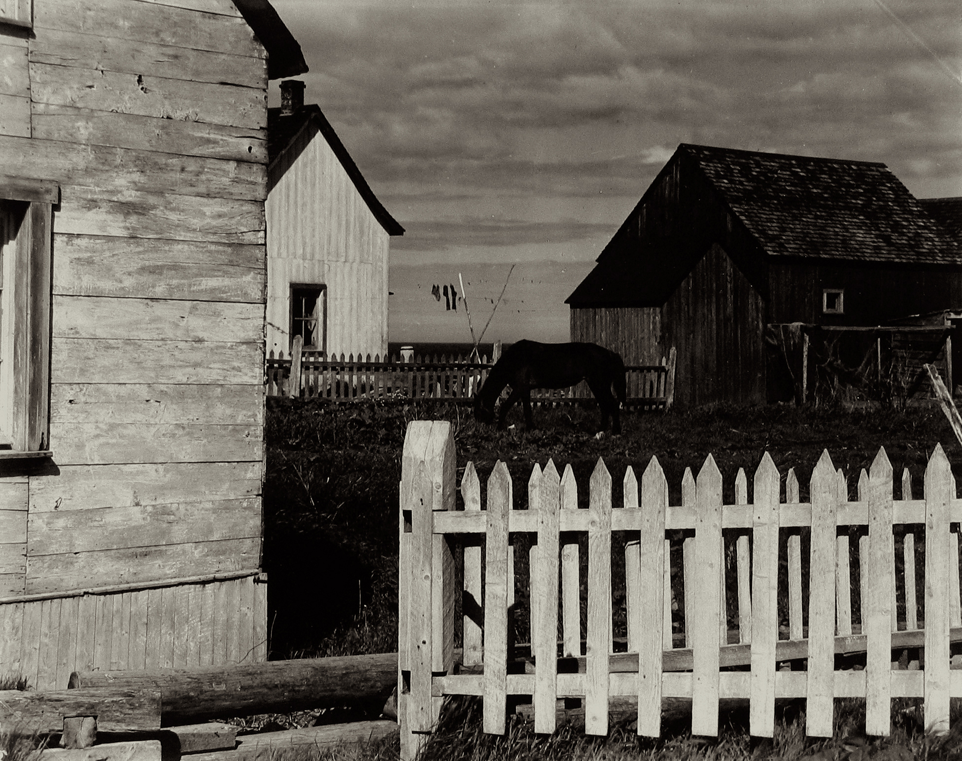 Farm, Picardy, Flanders, France, 1950
