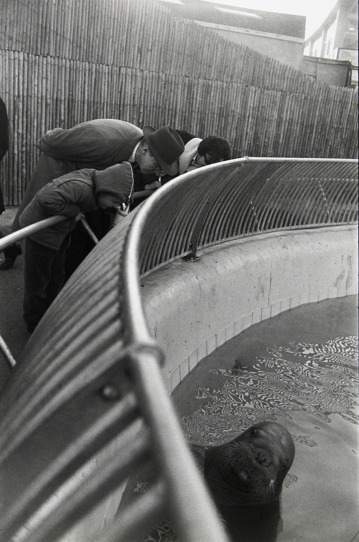 Garry Winogrand
