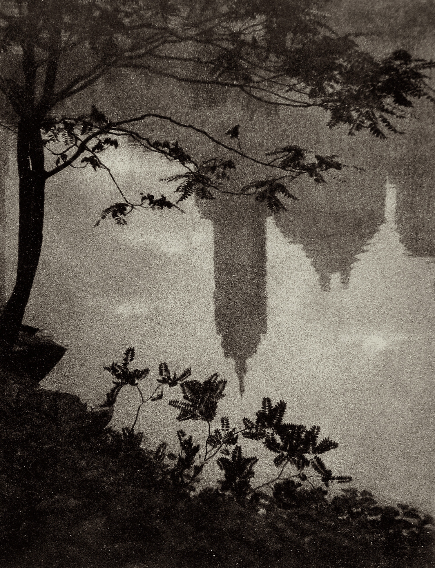 Adolf Fassbender