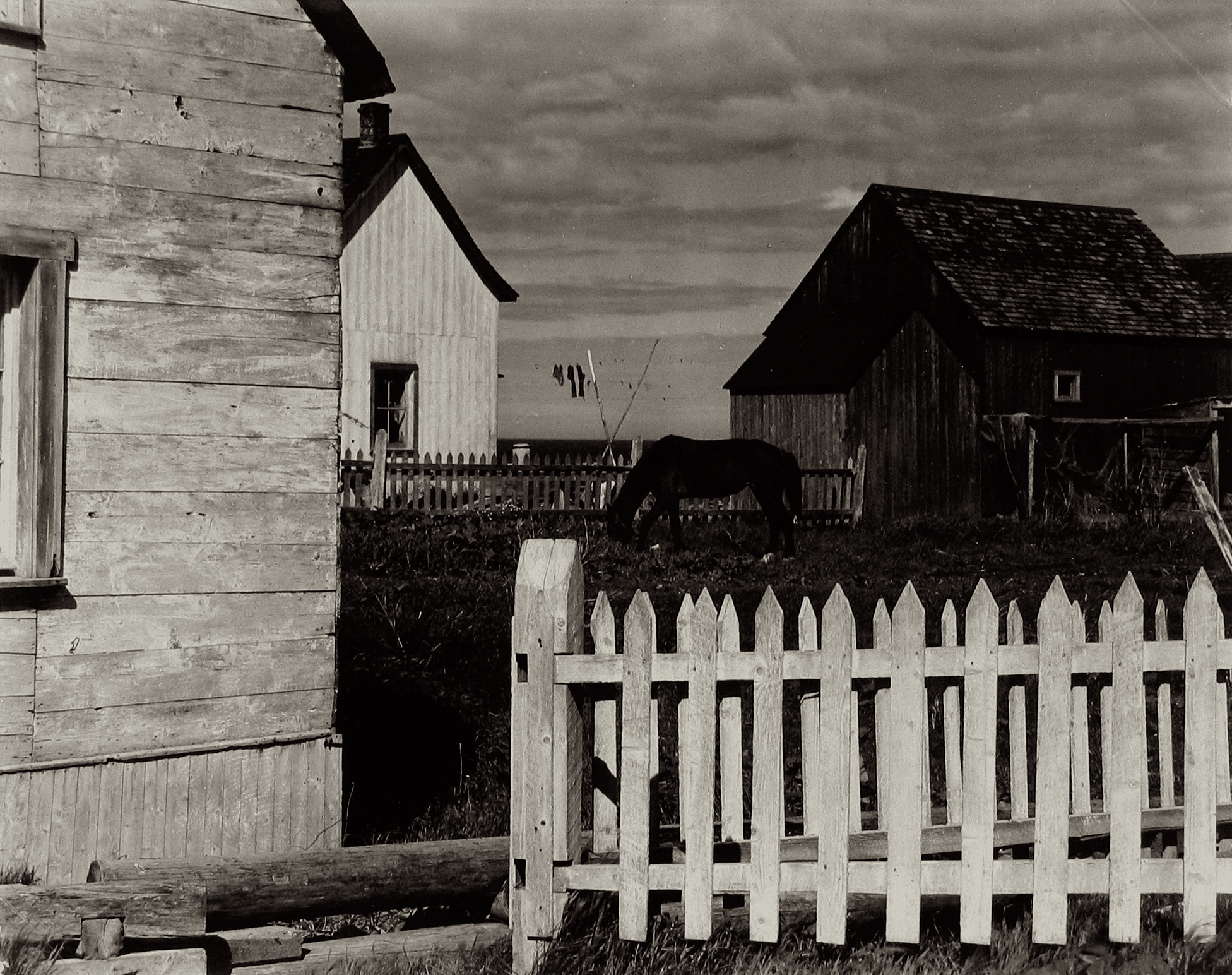 Paul Strand