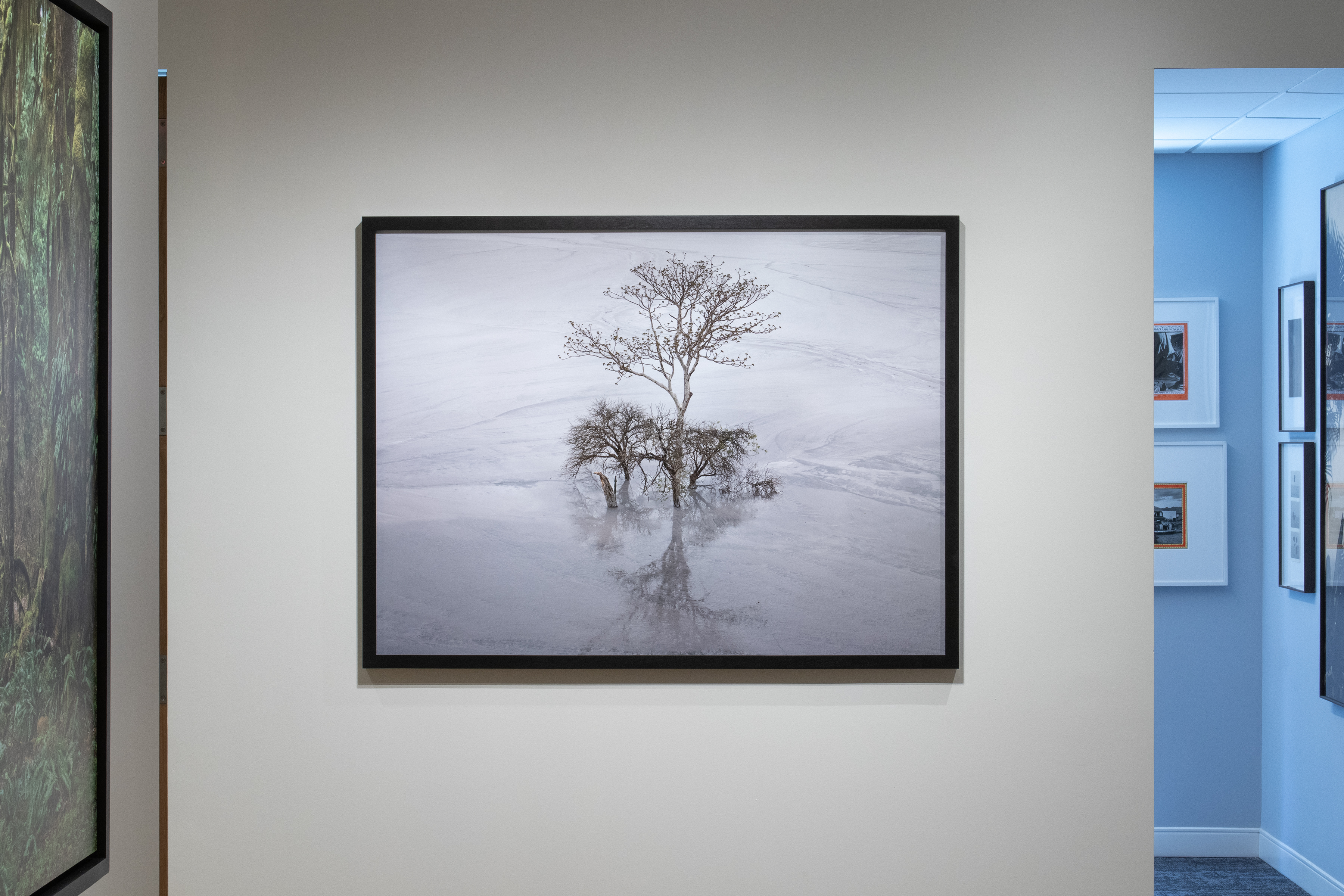 burtynsky installation view