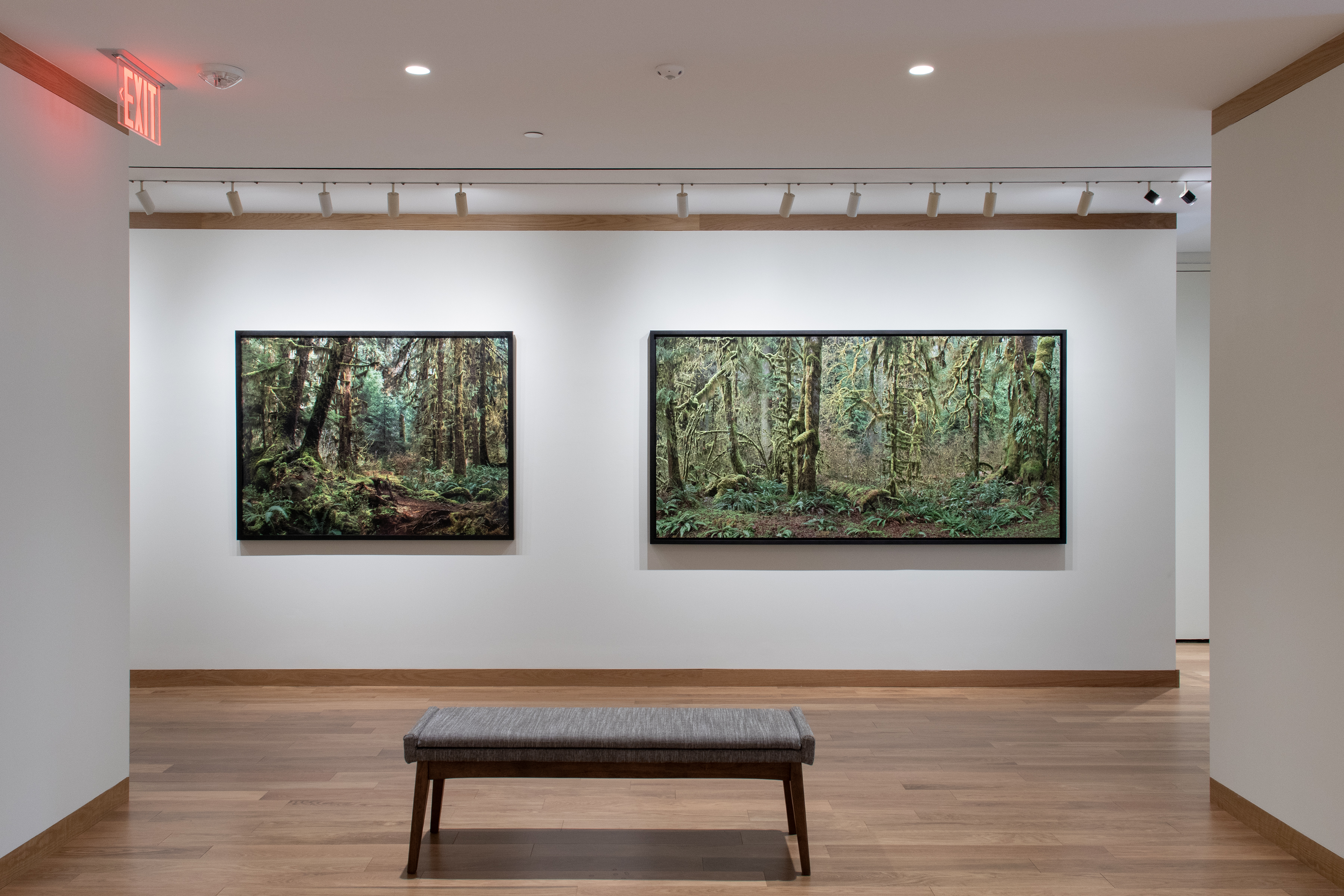 burtynsky installation view