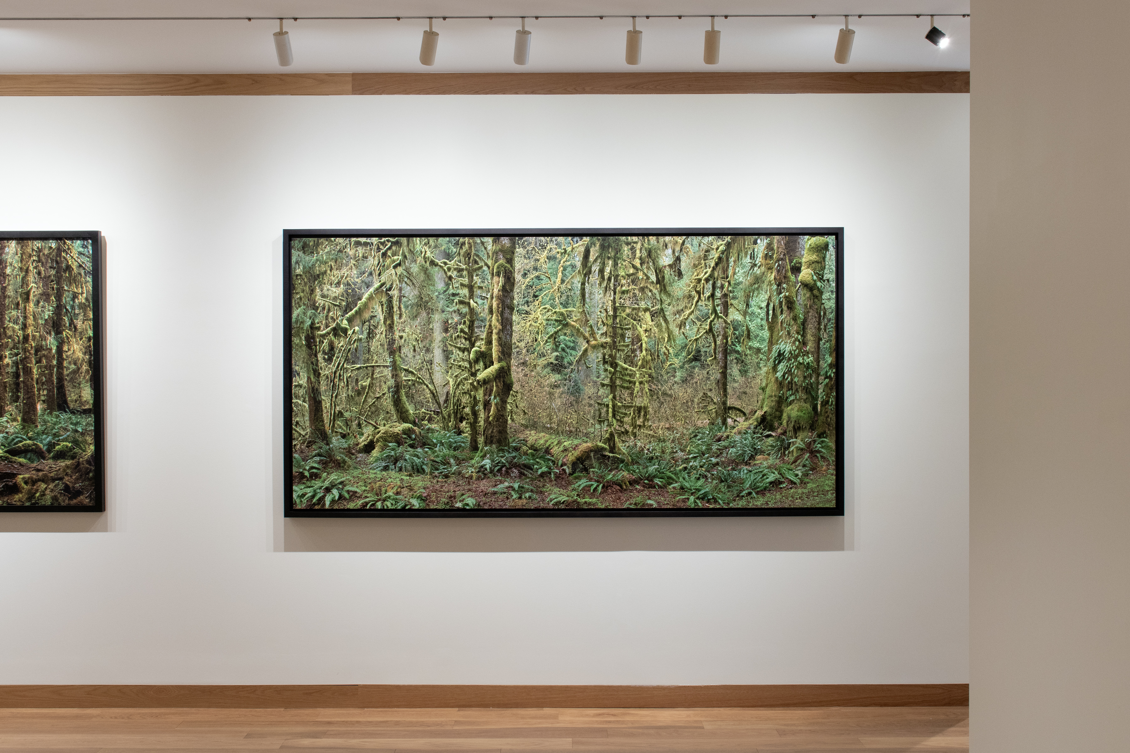 burtynsky installation view