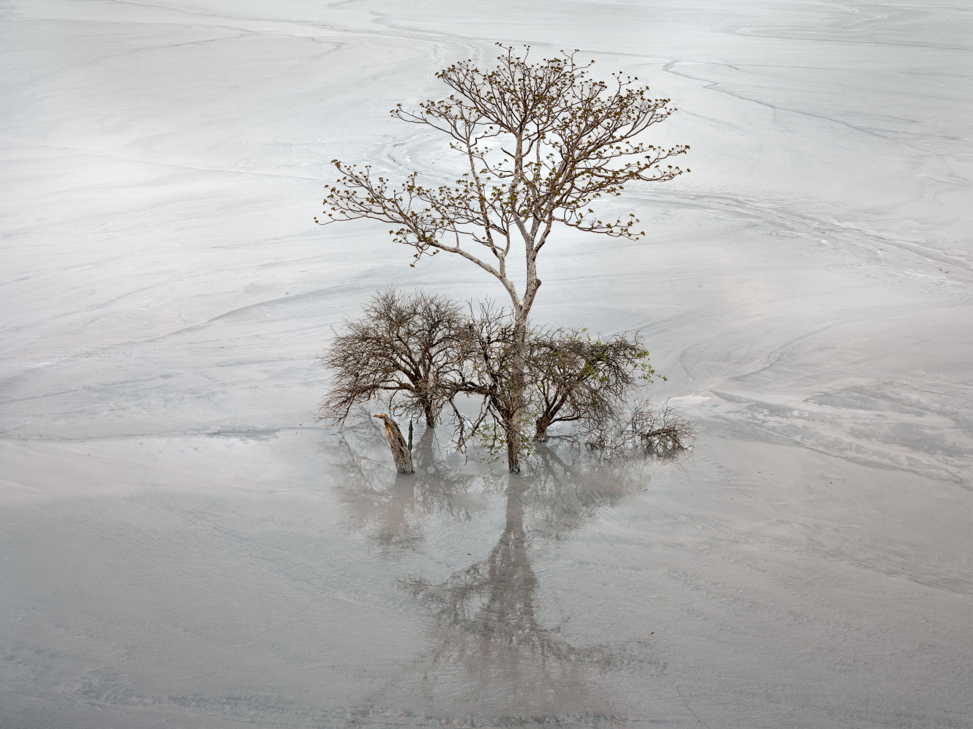 Edward Burtynsky, Tailings Pond #1, Kamoa Kakula, Democratic Republic of the Congo, 2024