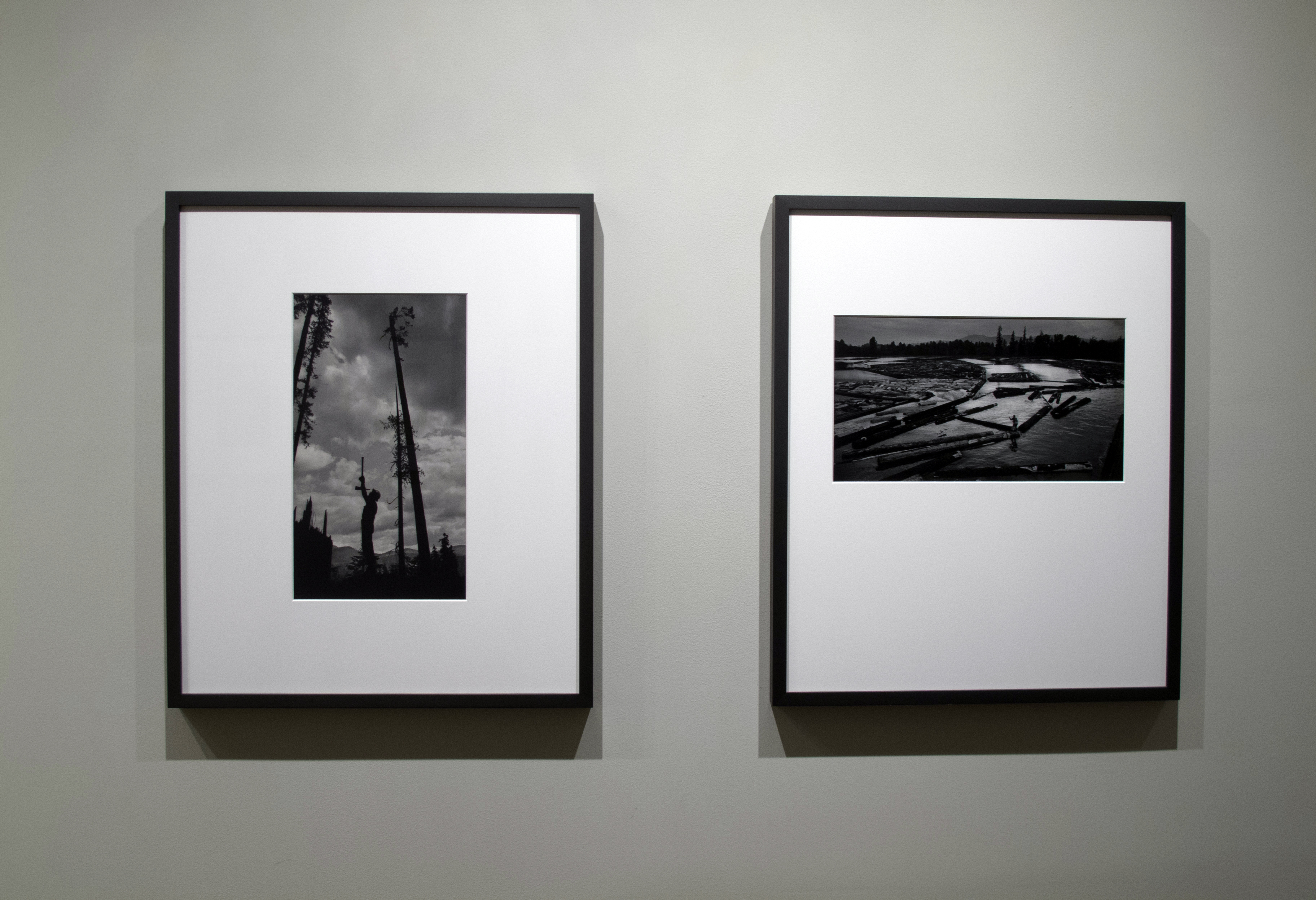 Heinrich Kuehn: Viennese Photo-Secessionist - Howard Greenberg Gallery - 2012