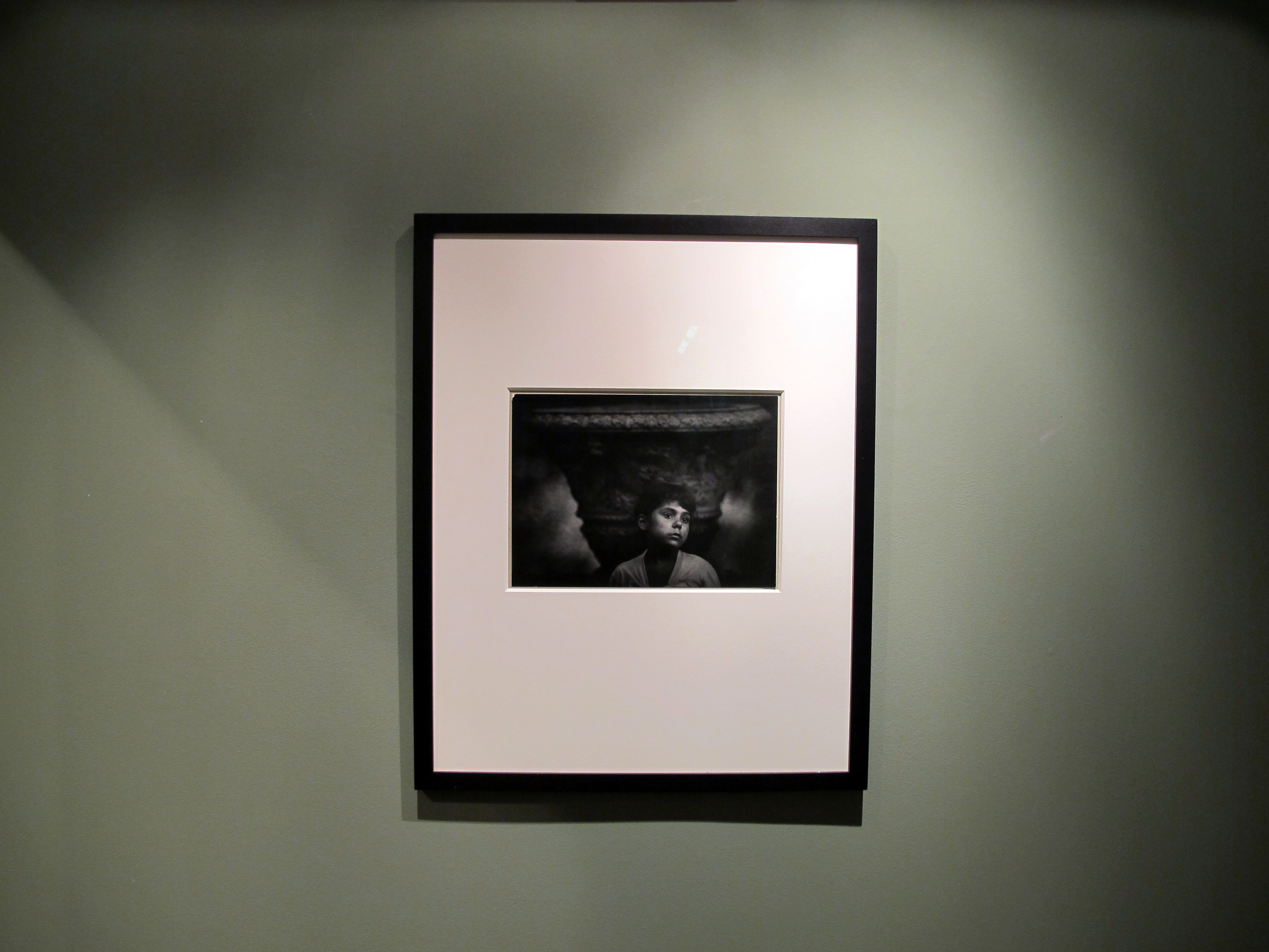 A Democracy of Imagery - Colin Westerbeck - Howard Greenberg Gallery - 2016