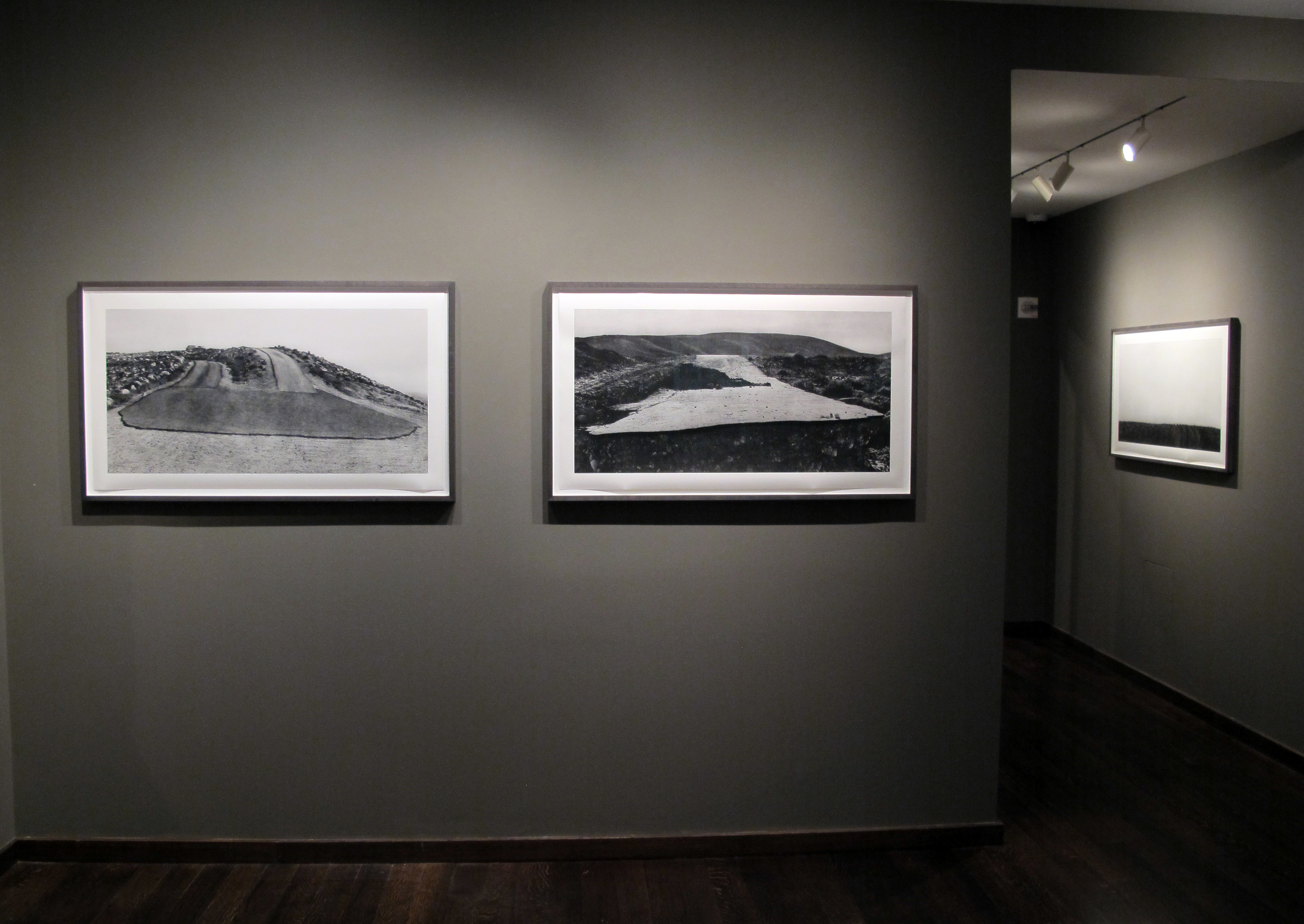 Bruce Davidson - In Color - Howard Greenberg Gallery - 2014