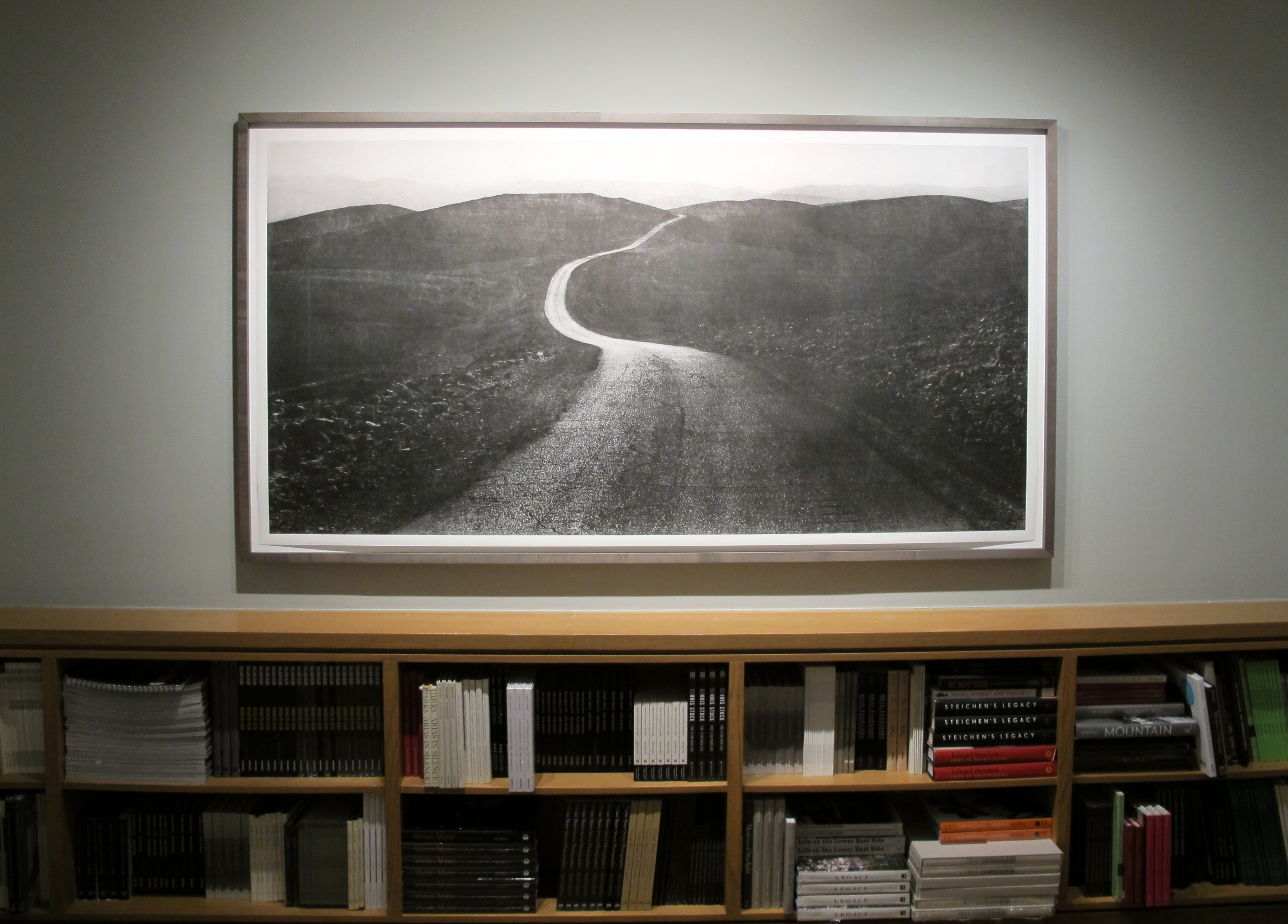 Anna Mia Davidson - Human Nature - Howard Greenberg Gallery - 2015