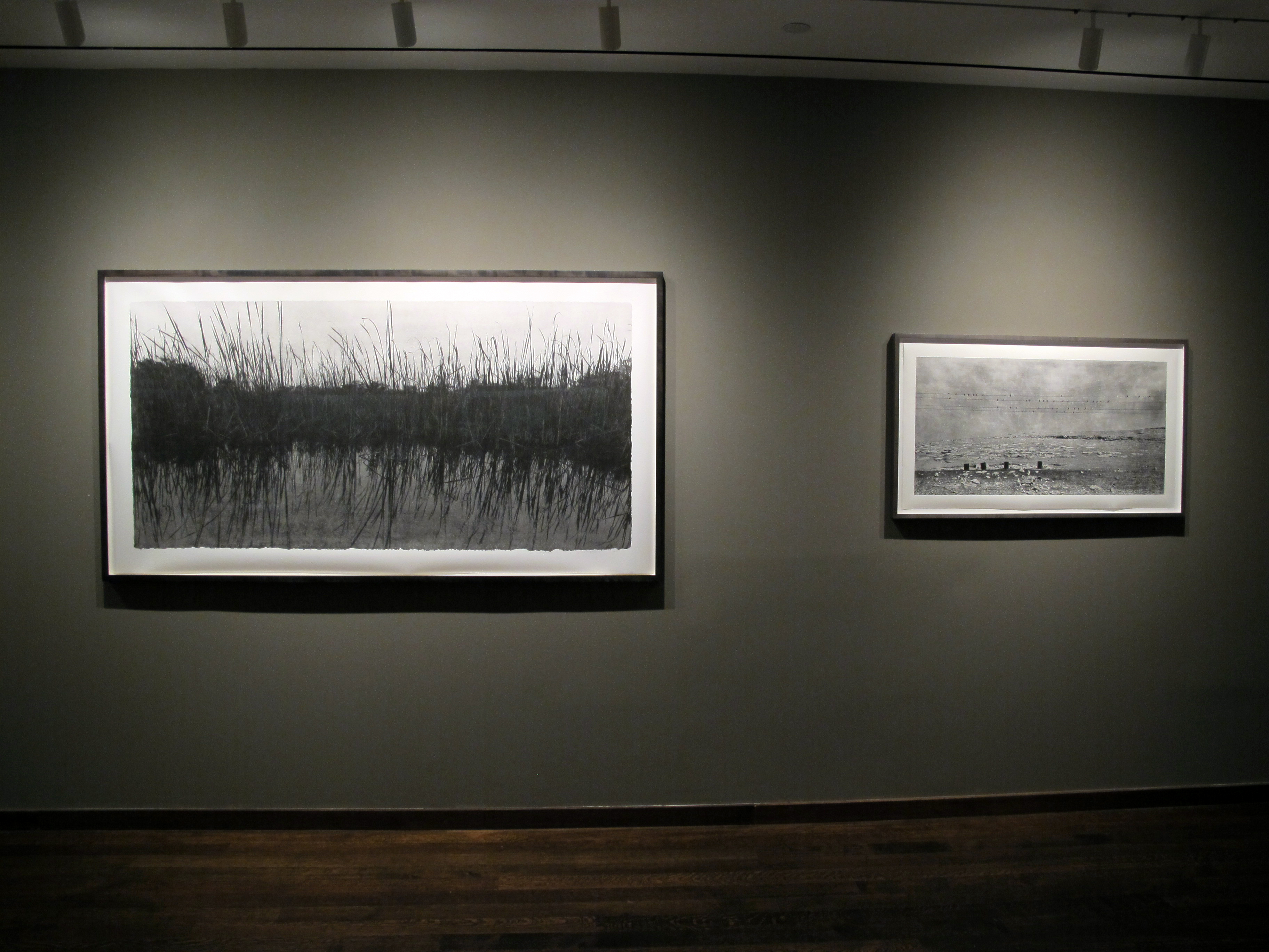 Bruce Davidson - In Color - Howard Greenberg Gallery - 2014