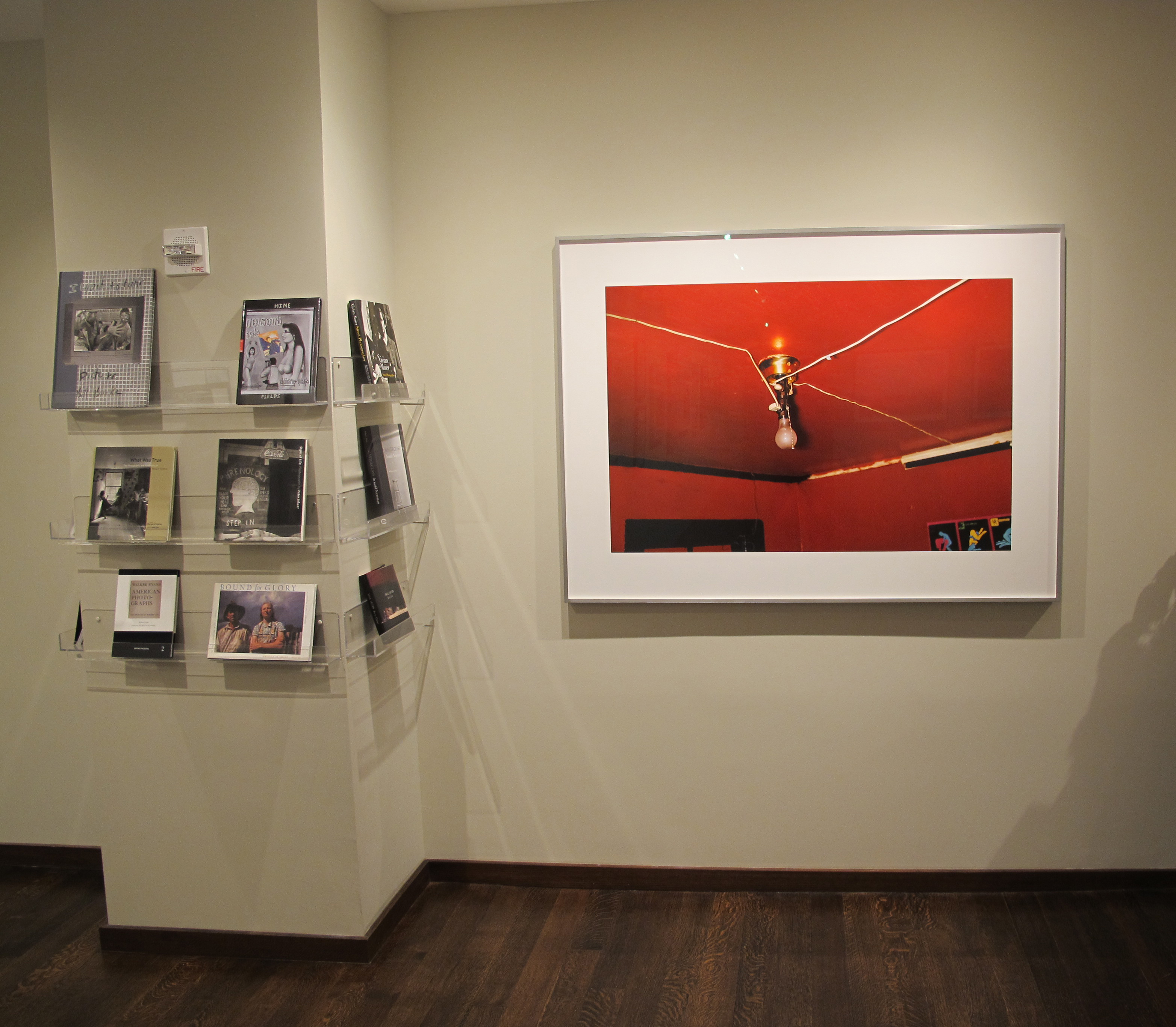 Allen Ginsberg - Ginsberg - Howard Greenberg Gallery - 2011