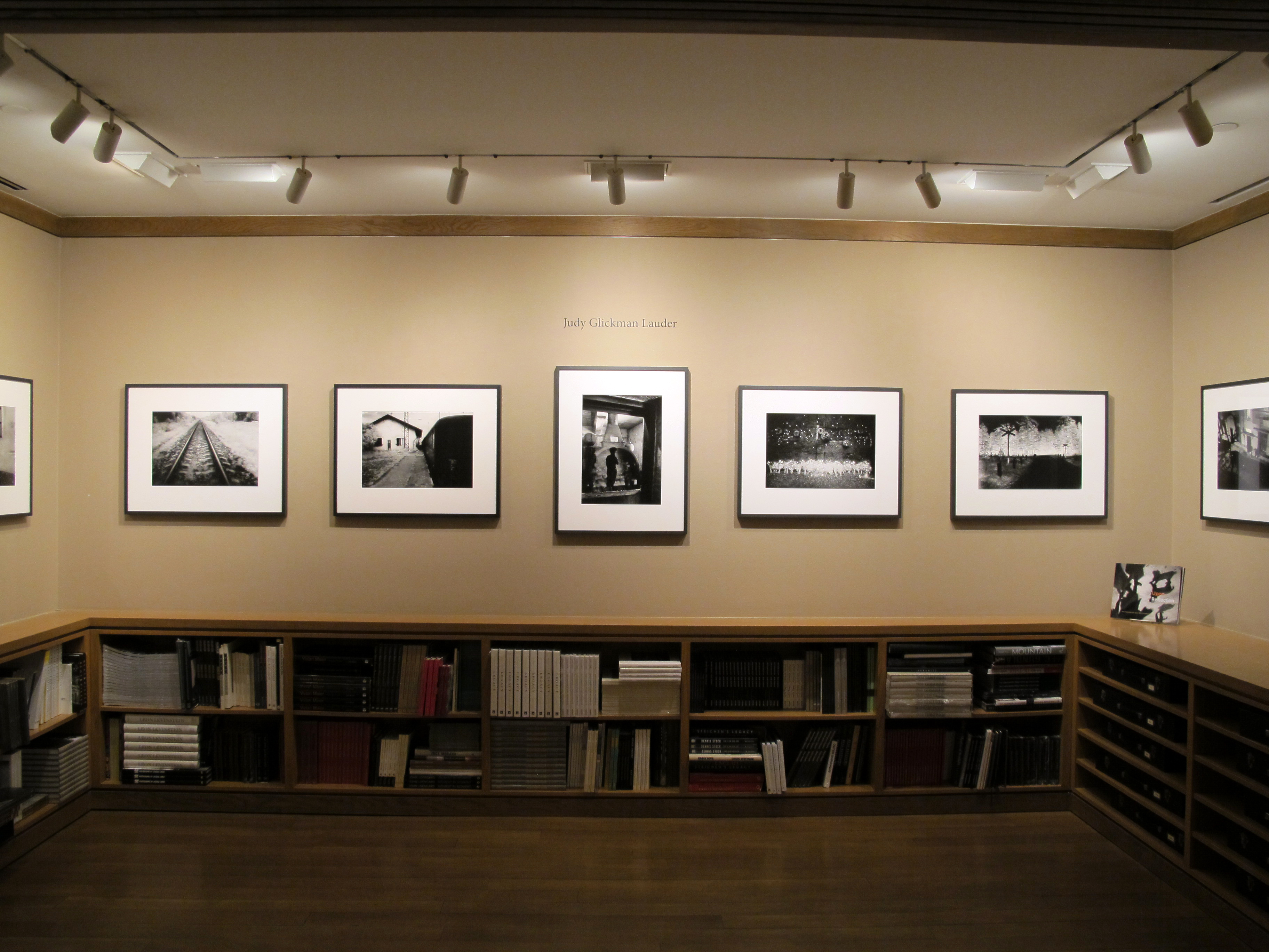 Kathy Ryan: Office Romance - Howard Greenberg Gallery 2016