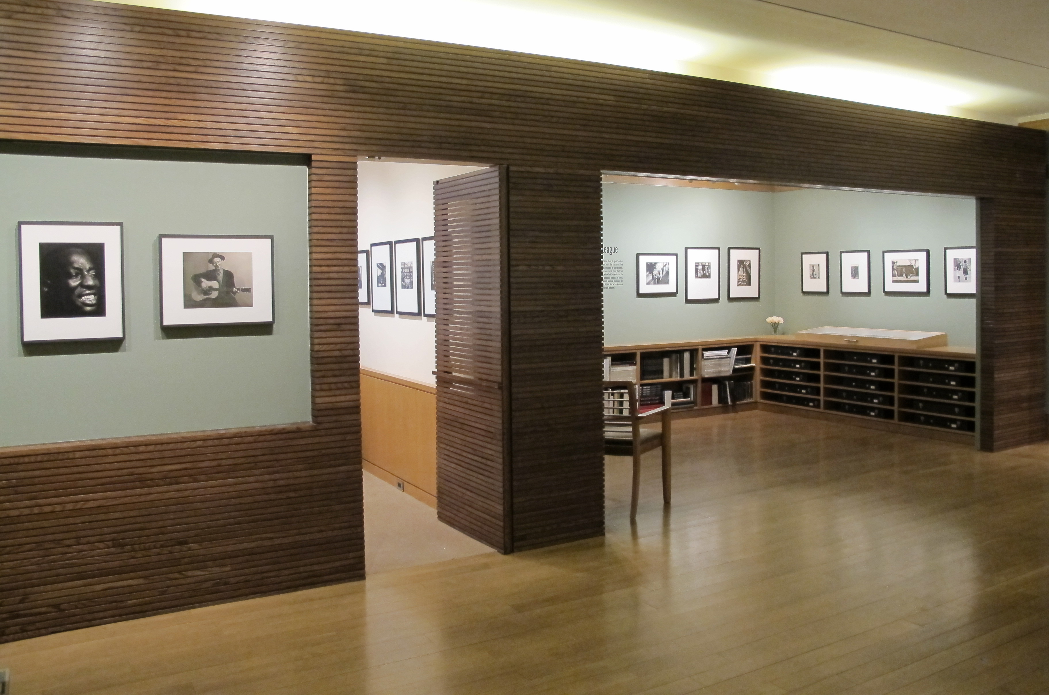 A Democracy of Imagery - Colin Westerbeck - Howard Greenberg Gallery - 2016