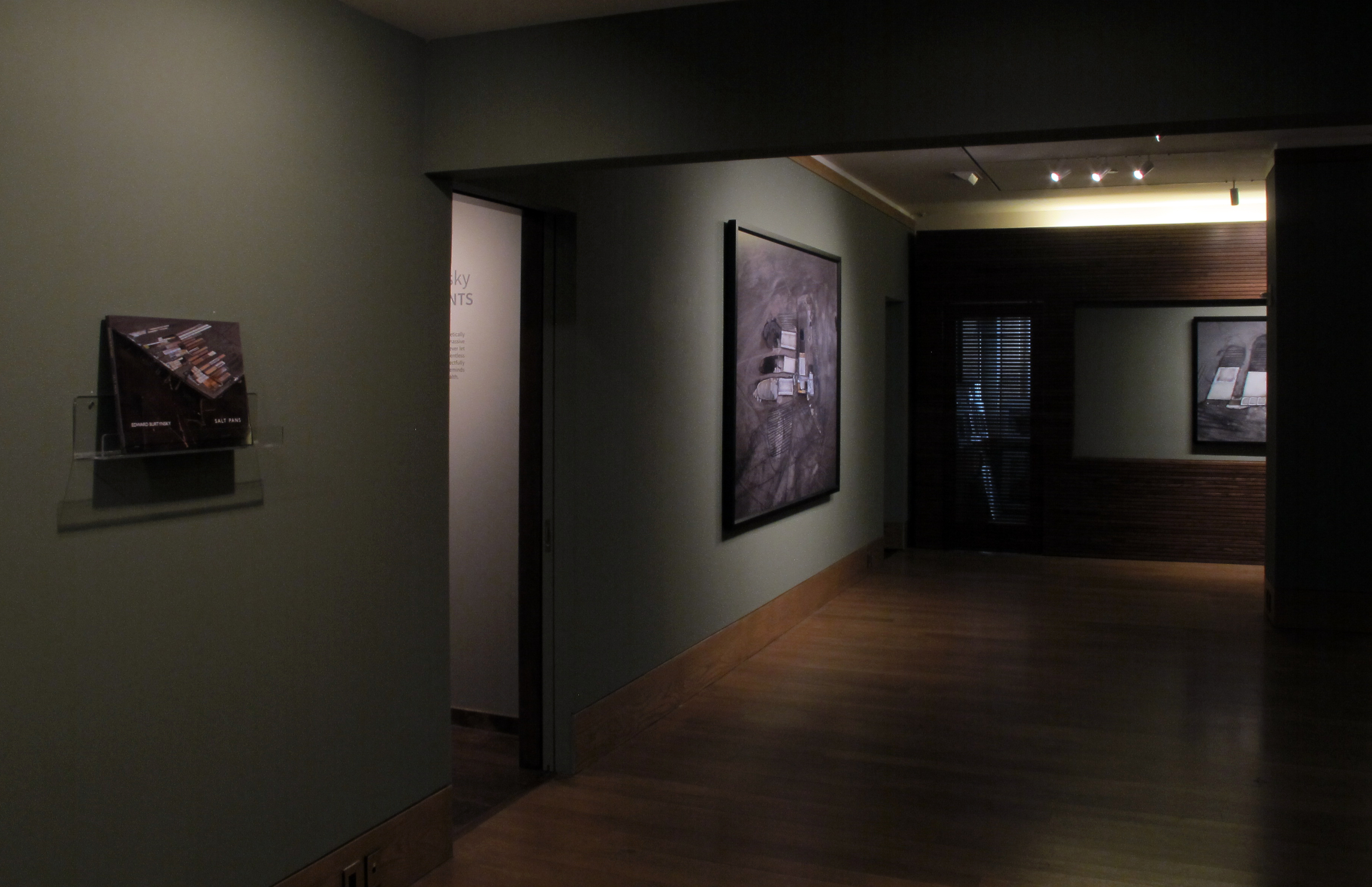 Marvin E. Newman: Sequentially Sought - Howard Greenberg Gallery - 2015