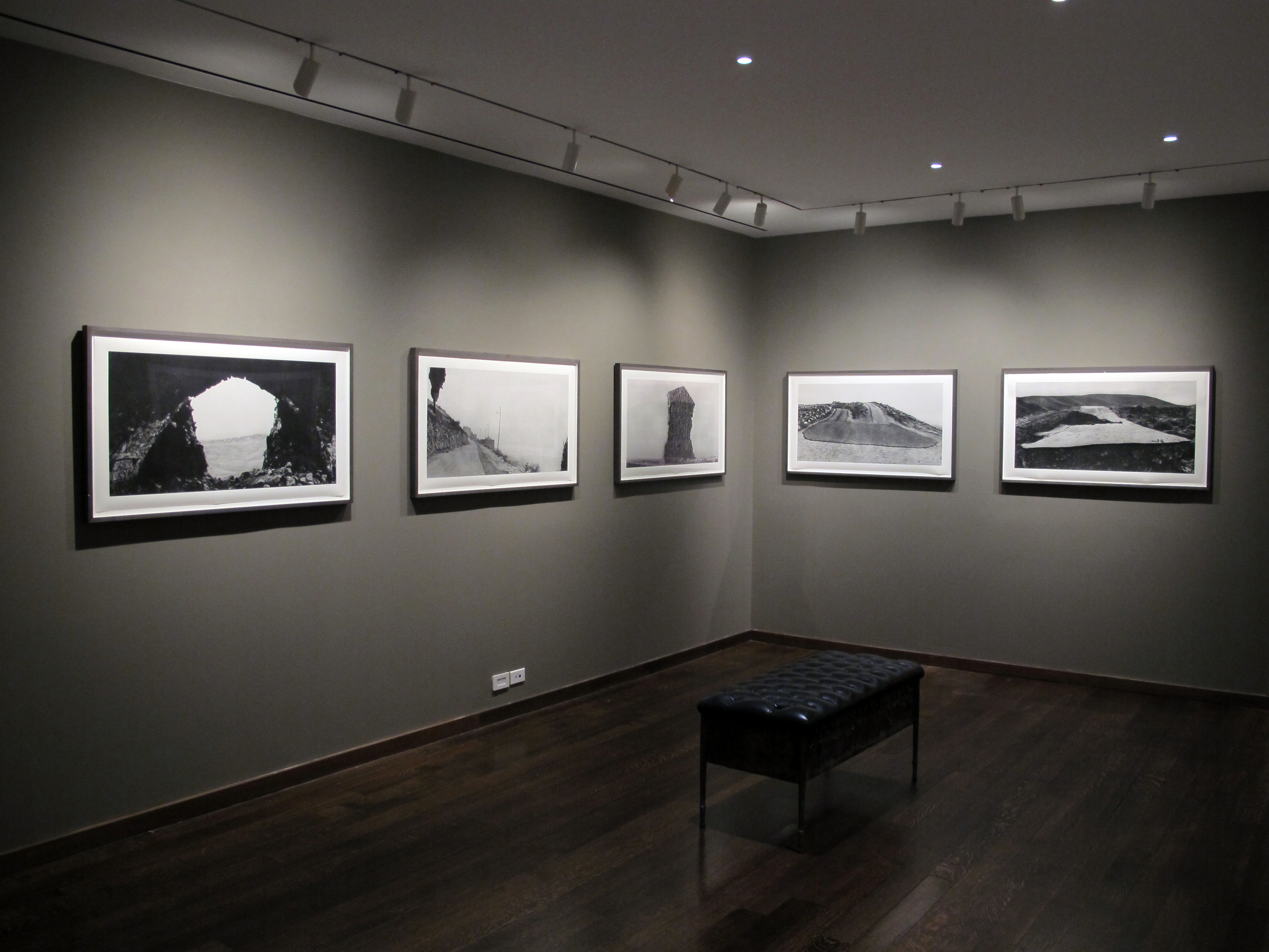 Bruce Davidson - In Color - Howard Greenberg Gallery - 2014