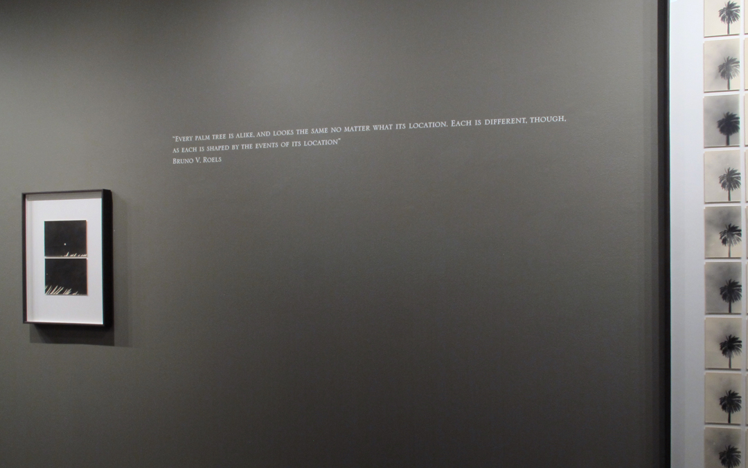 Lives & Still Lives: Leslie Gill, Frances McLaughlin-Gill, and Their Circle Howard Greenberg Gallery 2017