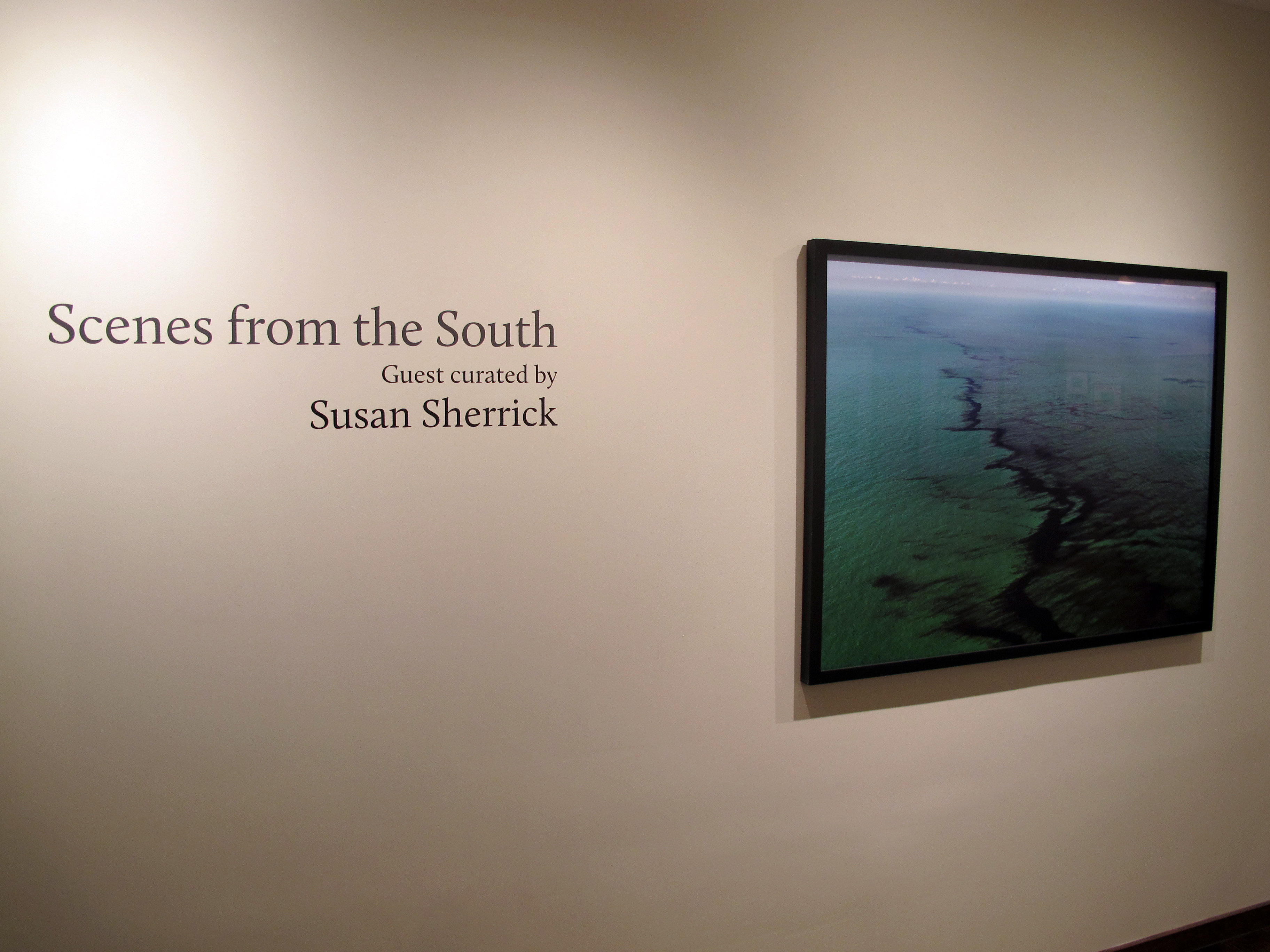 Allen Ginsberg - Ginsberg - Howard Greenberg Gallery - 2011