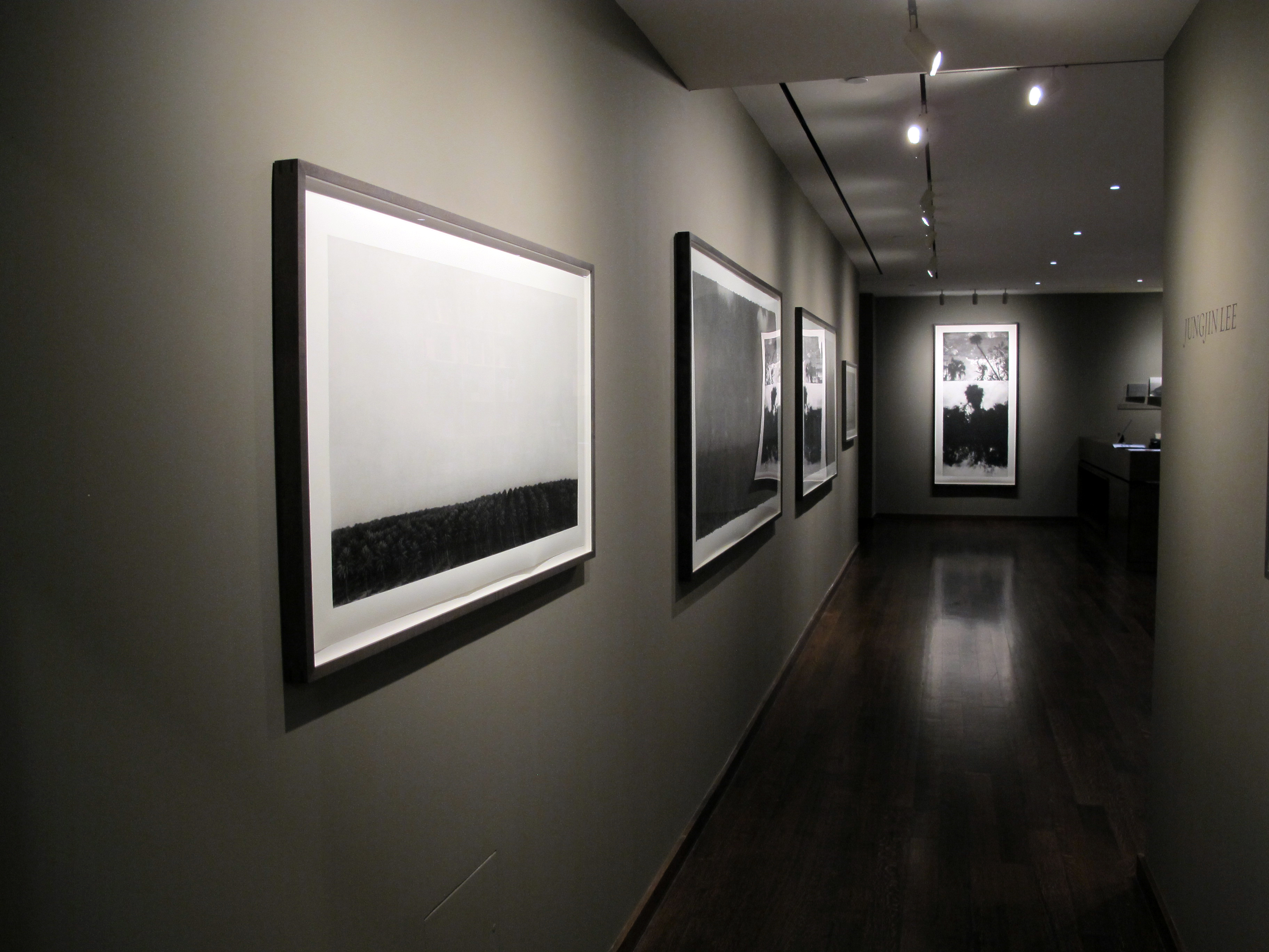 Staff Picks IV - Howard Greenberg Gallery - 2014