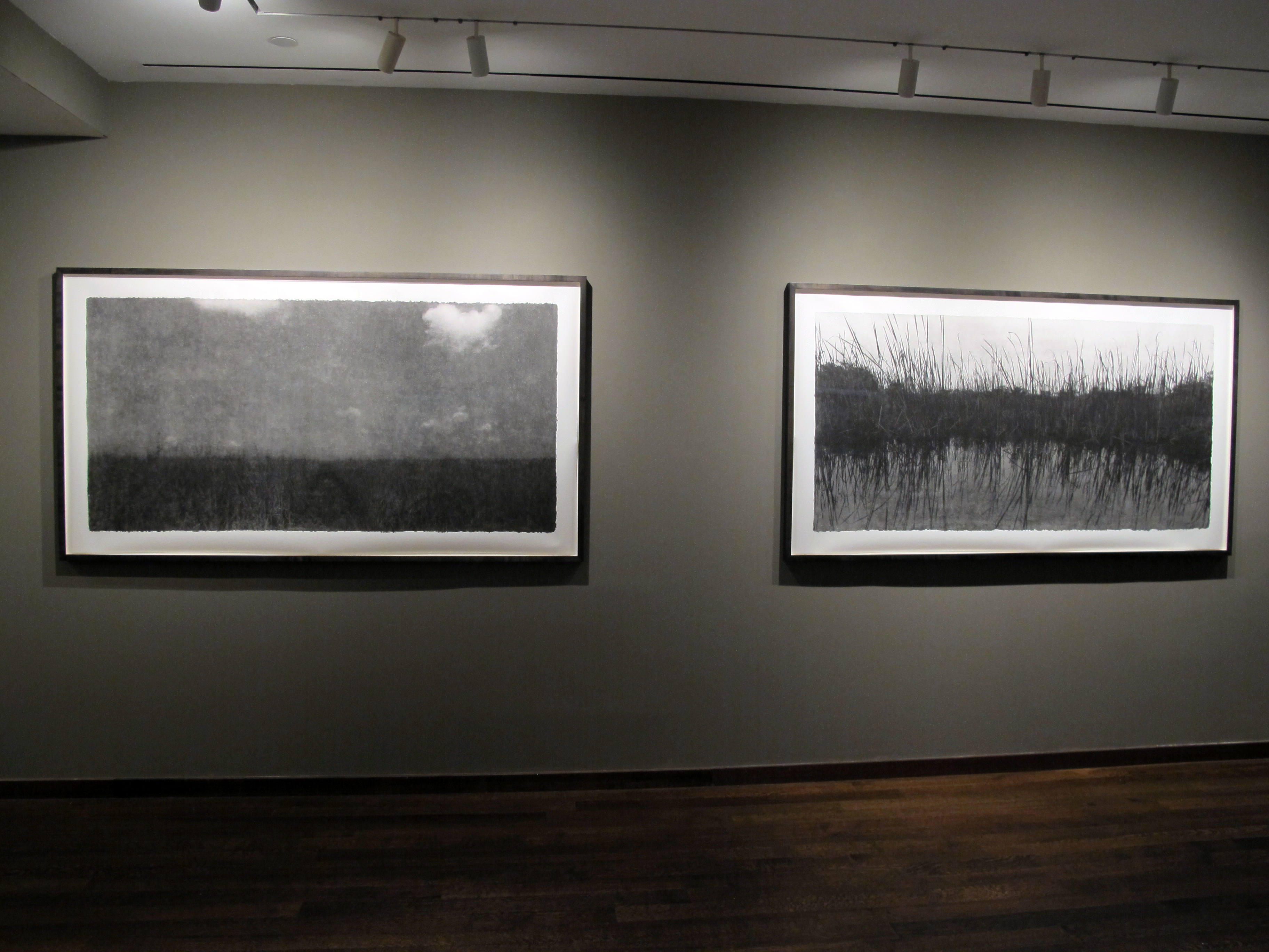 Bruce Davidson - In Color - Howard Greenberg Gallery - 2014