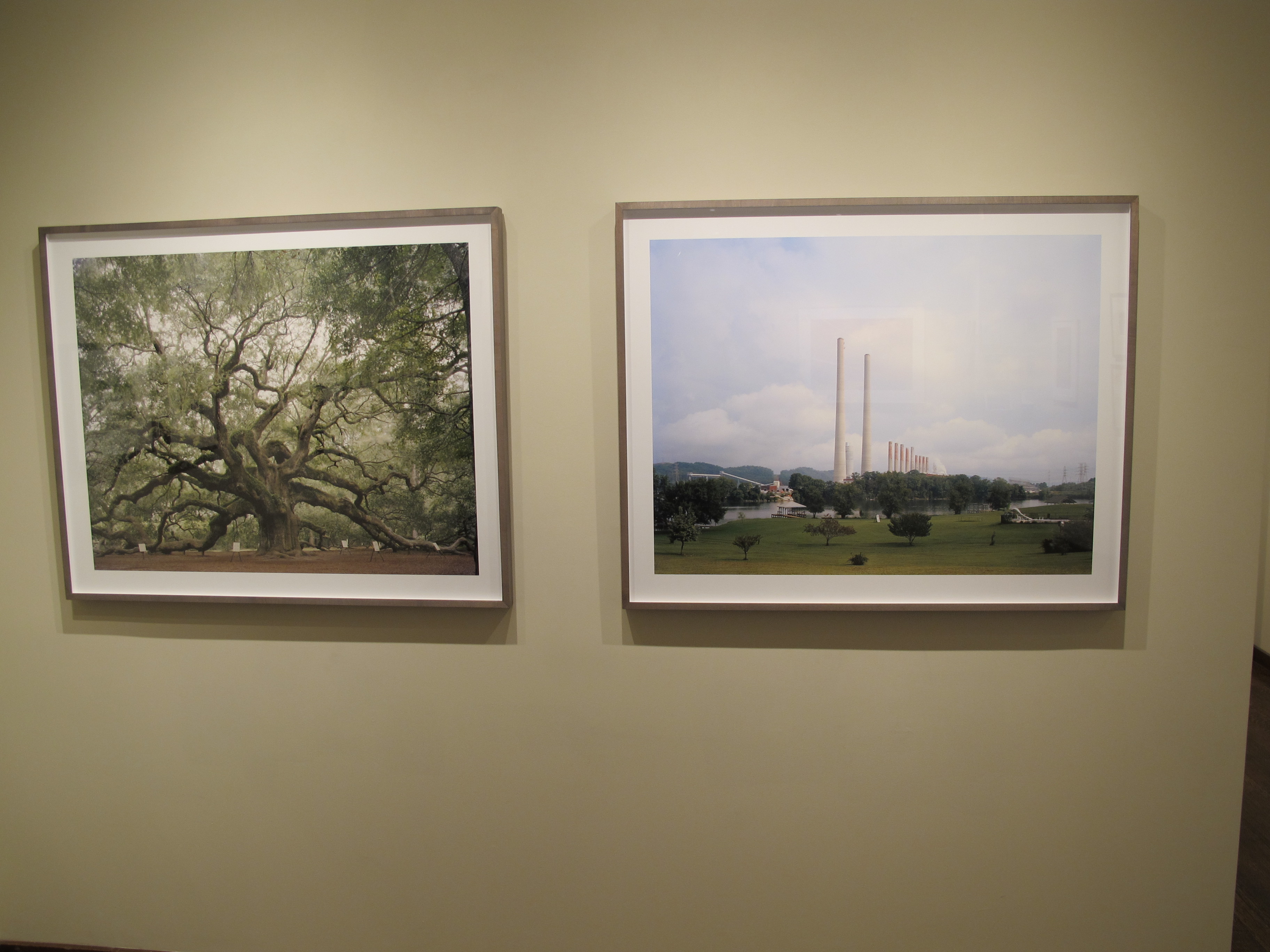 Allen Ginsberg - Ginsberg - Howard Greenberg Gallery - 2011