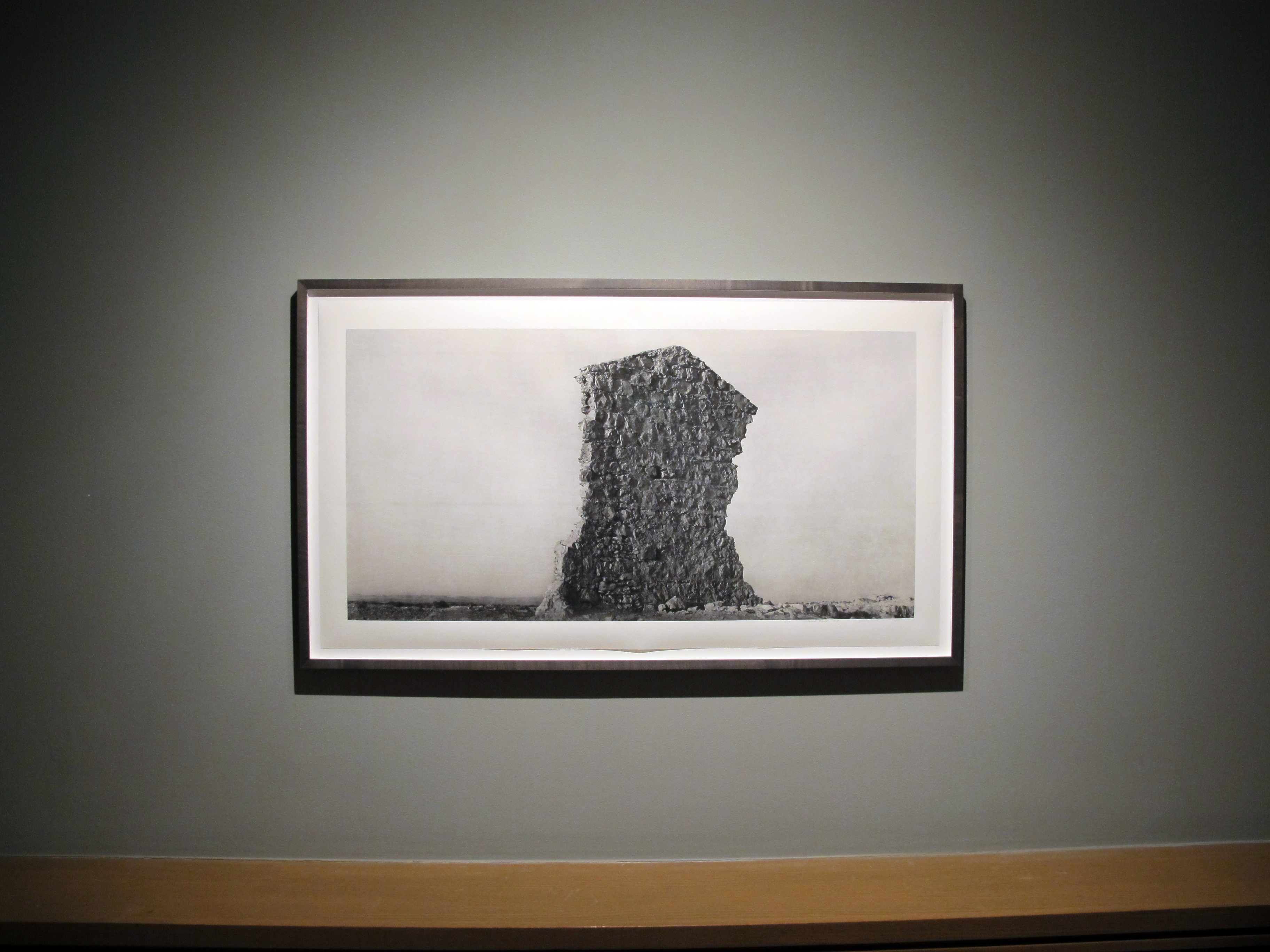 Anna Mia Davidson - Human Nature - Howard Greenberg Gallery - 2015