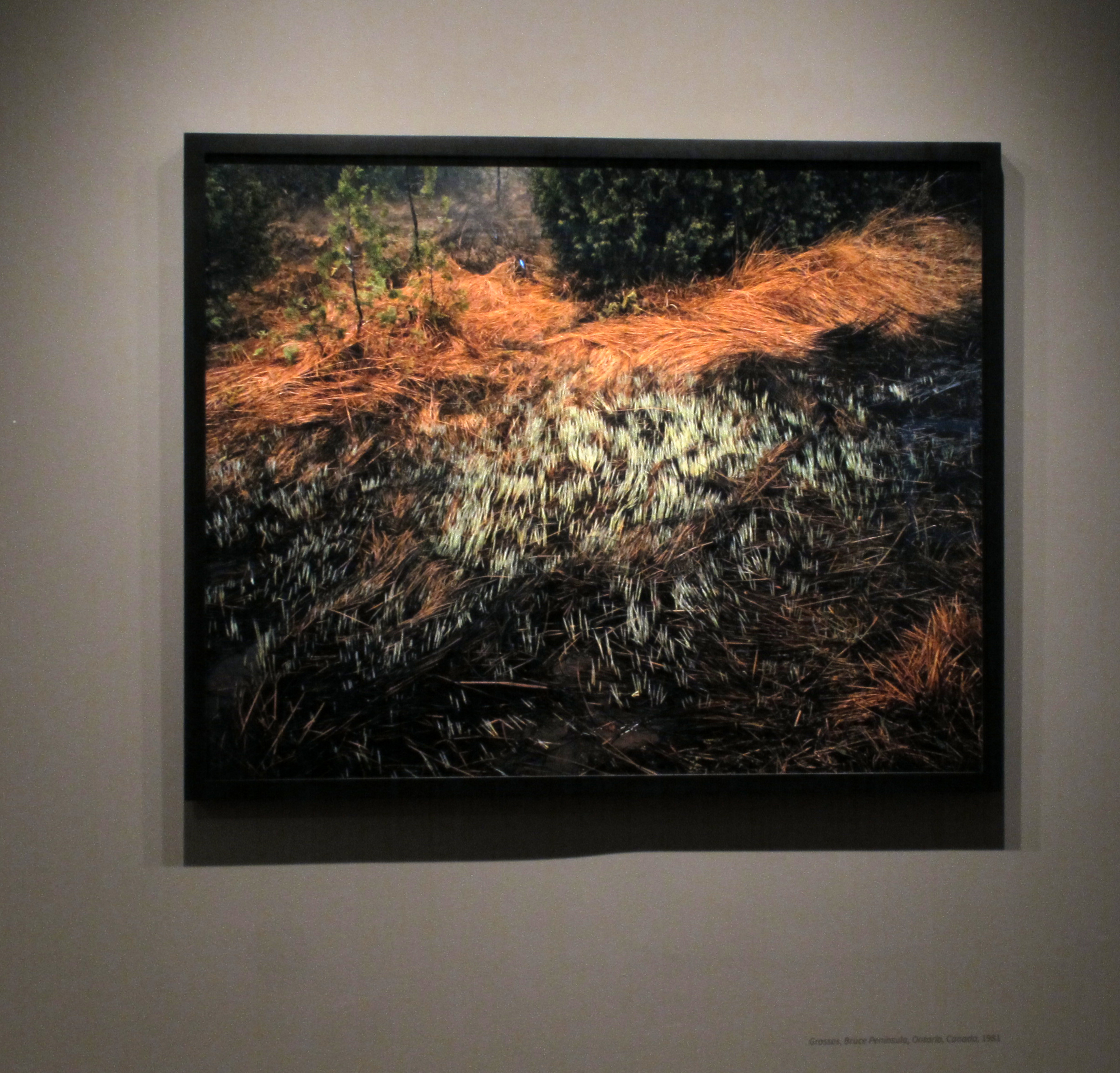 Jungjin Lee: Selections from Recent Projects - Howard Greenberg Gallery - 2015