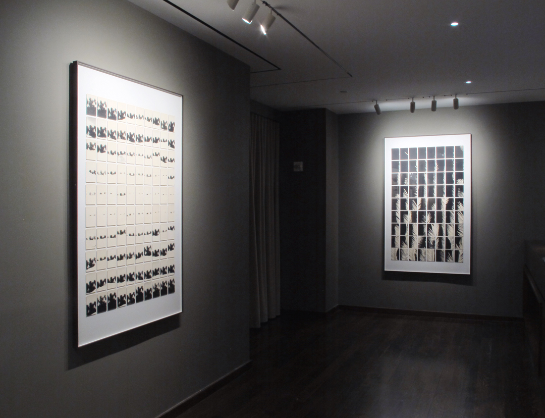 Lives & Still Lives: Leslie Gill, Frances McLaughlin-Gill, and Their Circle Howard Greenberg Gallery 2017