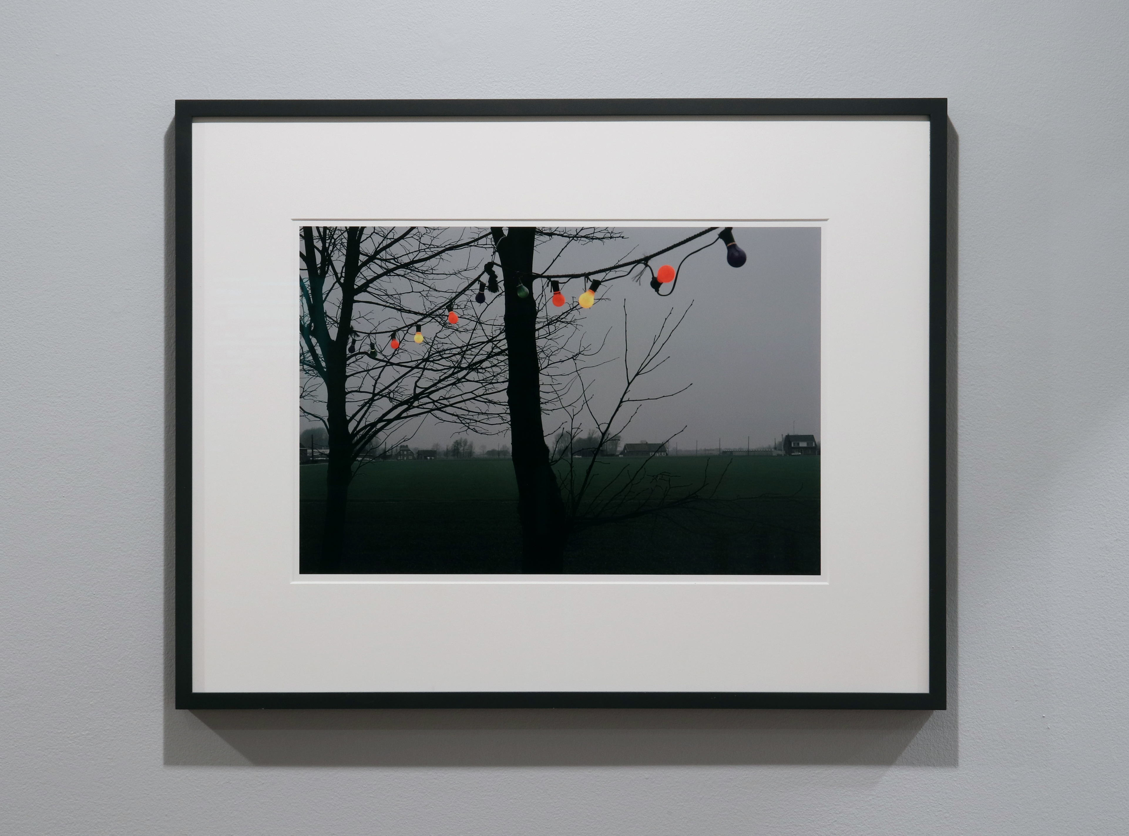 Photographs from the collection, Summer 2019, Howard Greenberg Gallery, 2019