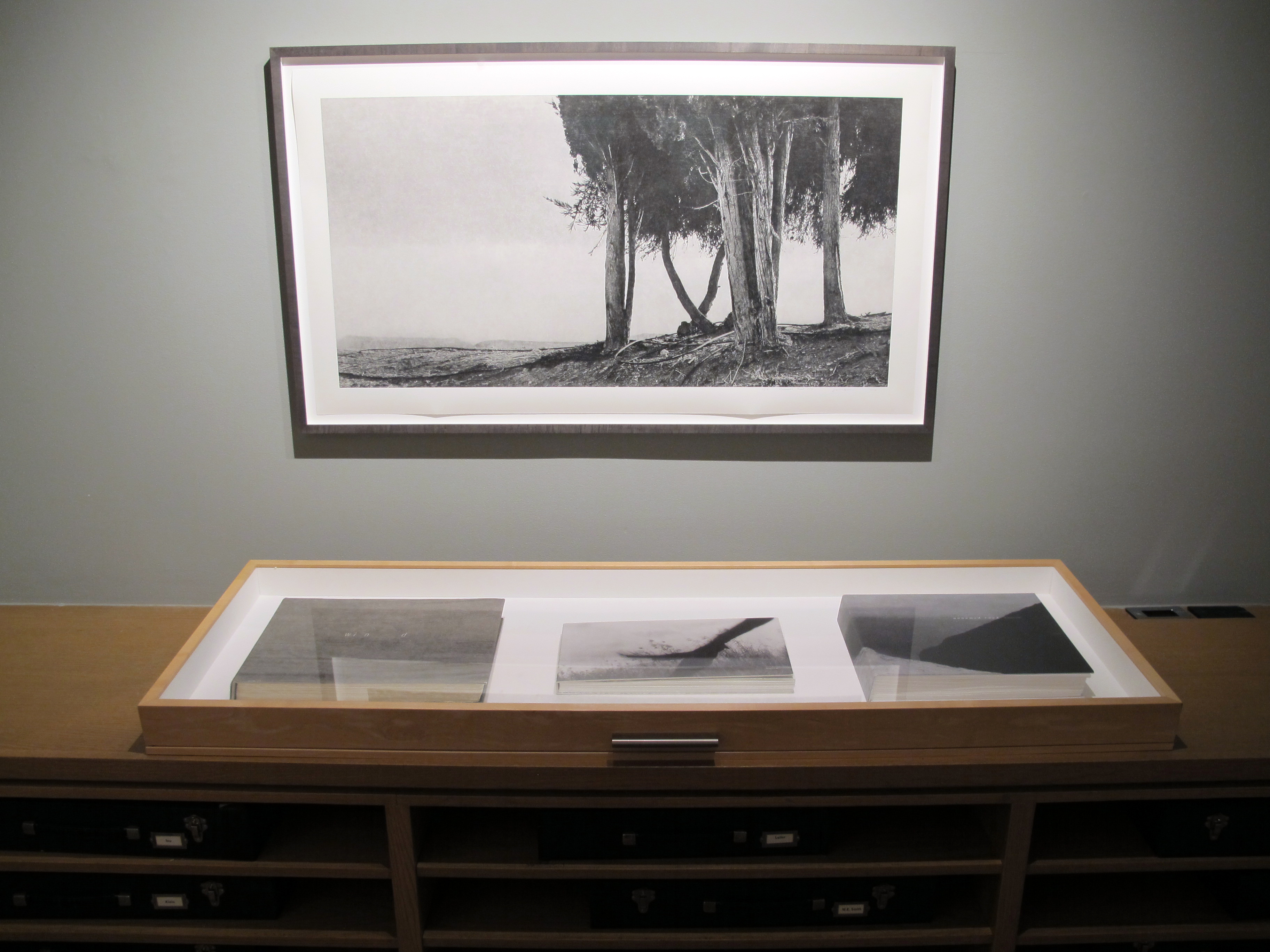 Anna Mia Davidson - Human Nature - Howard Greenberg Gallery - 2014