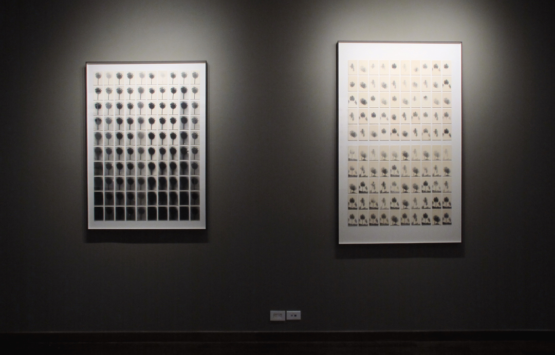 Lives & Still Lives: Leslie Gill, Frances McLaughlin-Gill, and Their Circle Howard Greenberg Gallery 2017