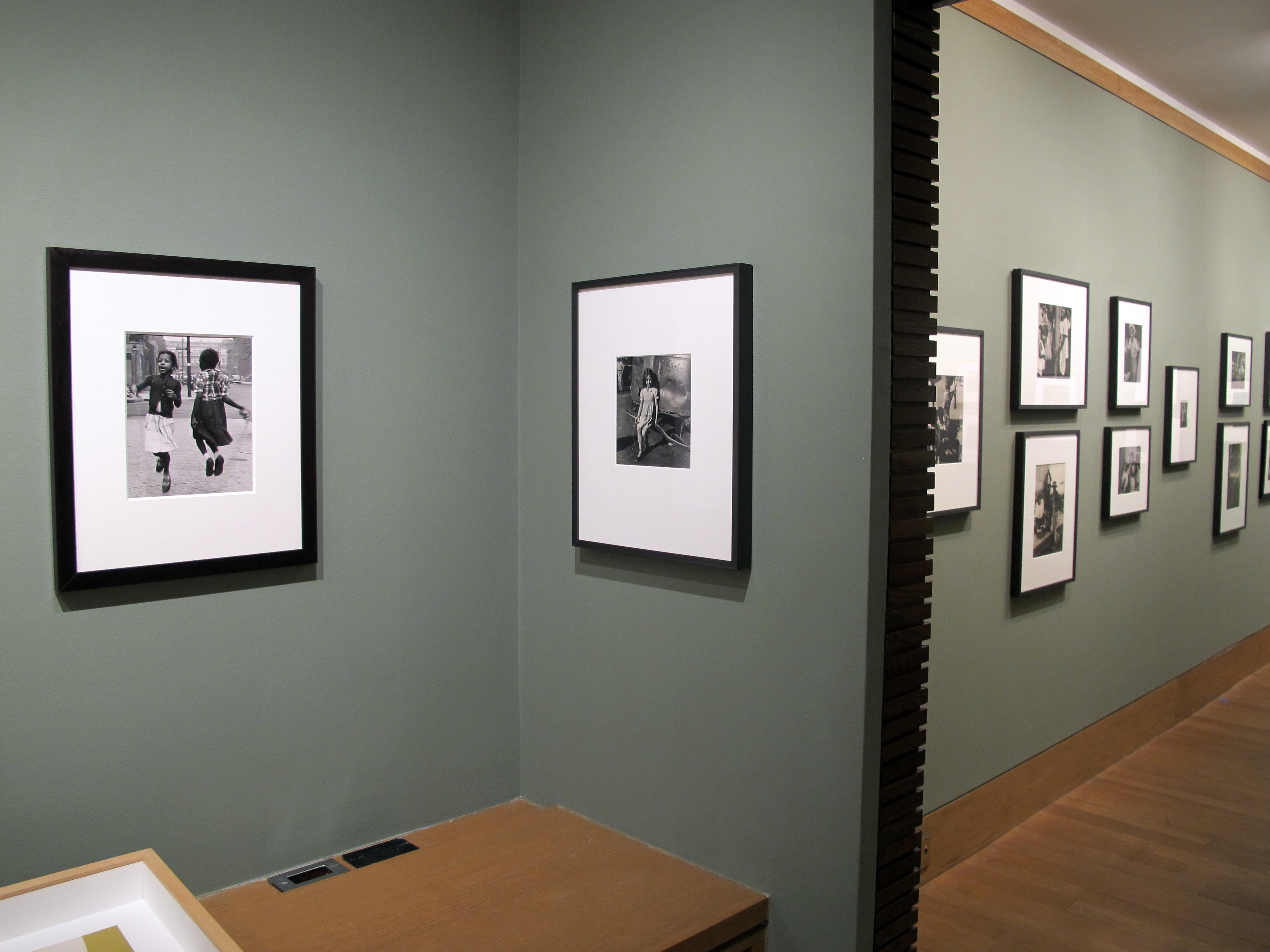 Marvin E. Newman: Sequentially Sought - Howard Greenberg Gallery - 2015