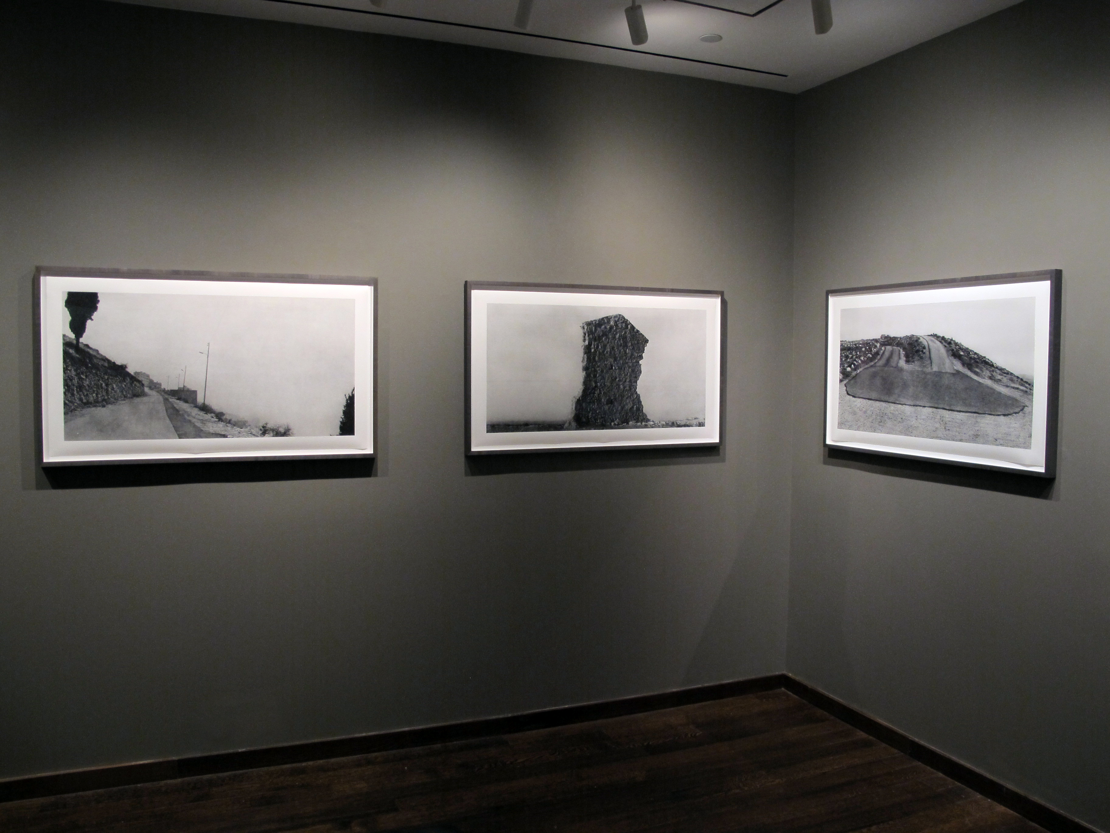 Bruce Davidson - In Color - Howard Greenberg Gallery - 2014