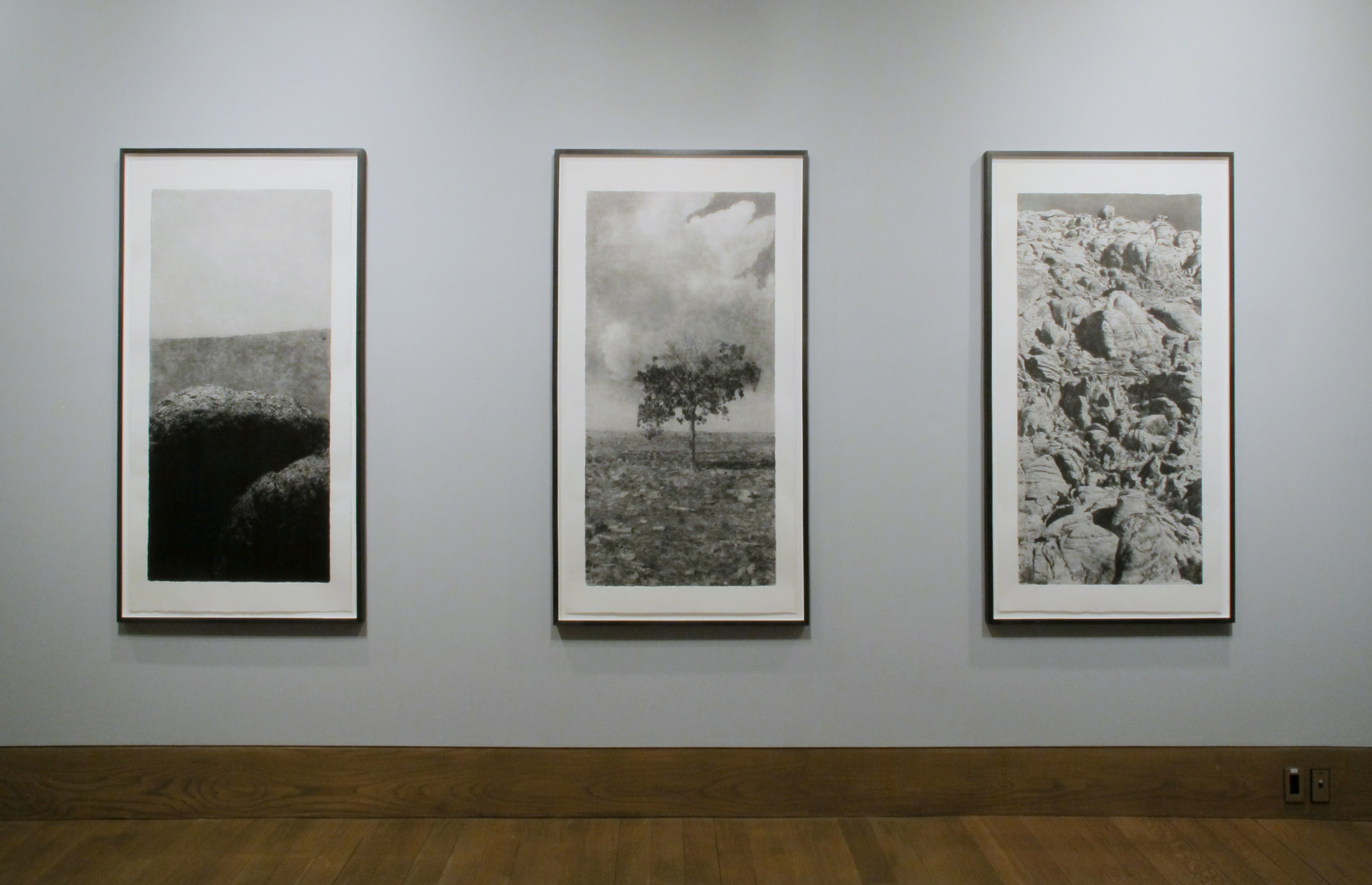 Joel Meyerowitz: Between the Dog and the Wolf, Howard Greenberg Gallery, 2017