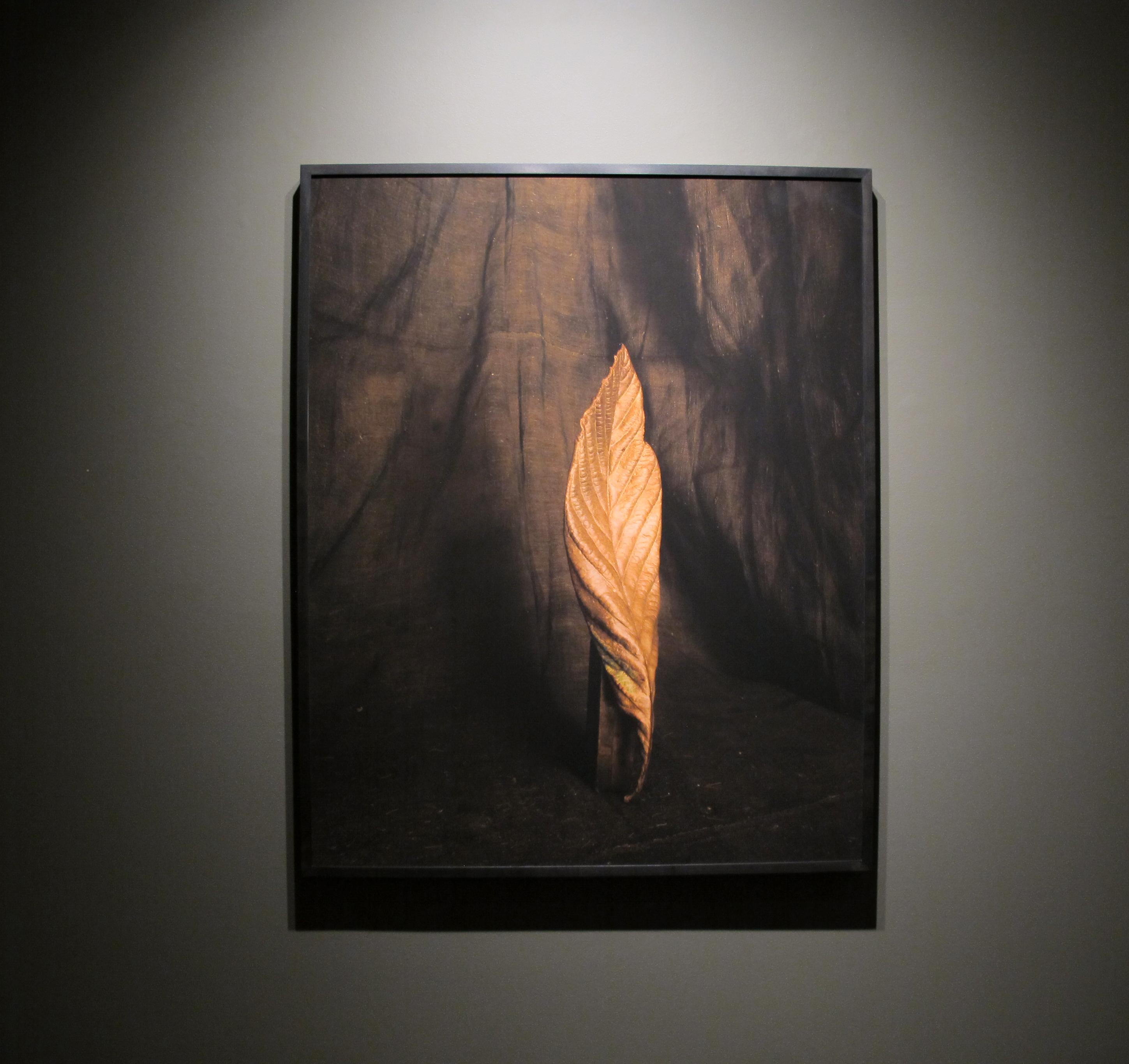 Sid Grossman - Howard Greenberg Gallery - 2017