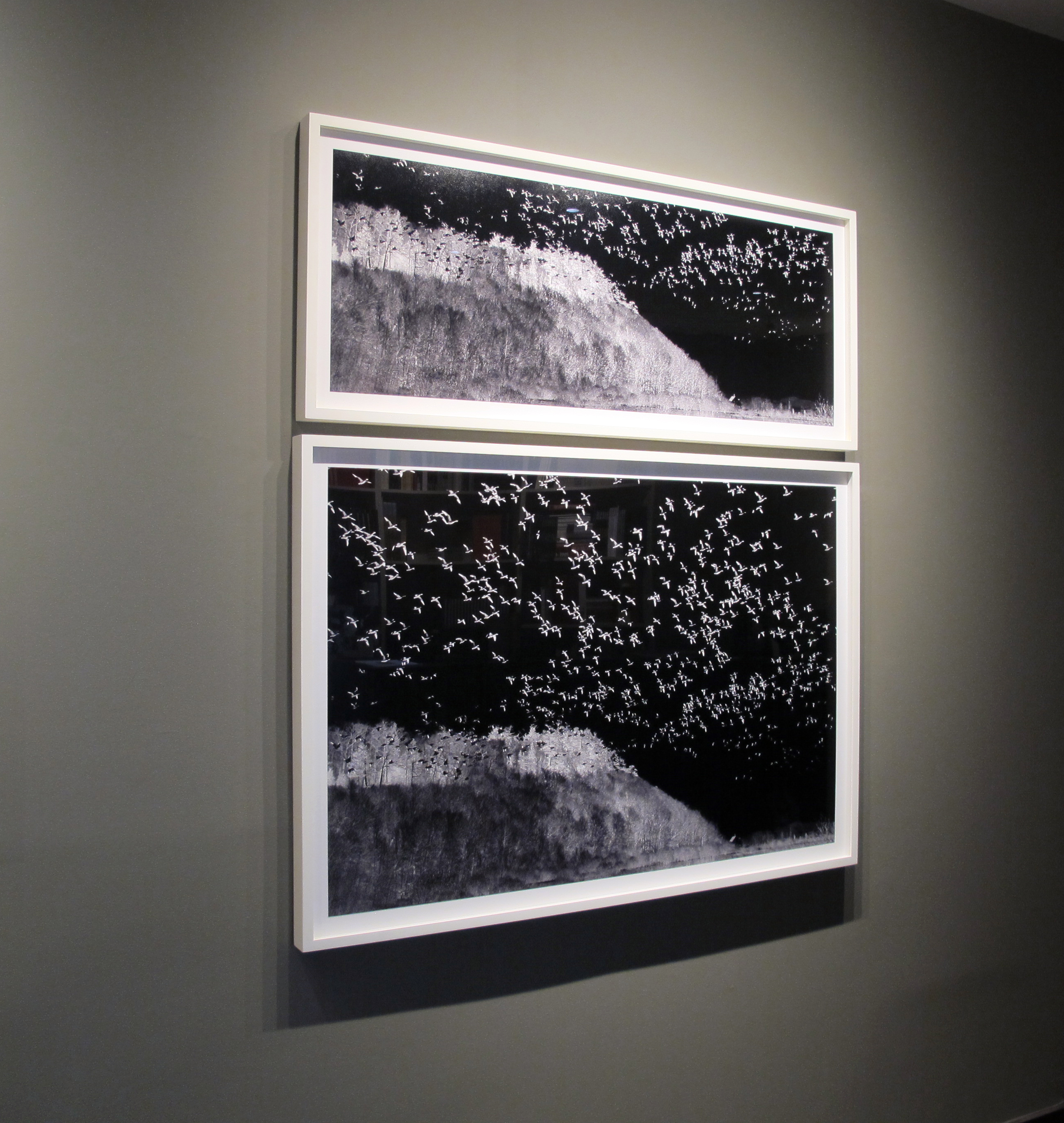 Kathy Ryan: Office Romance - Howard Greenberg Gallery 2016