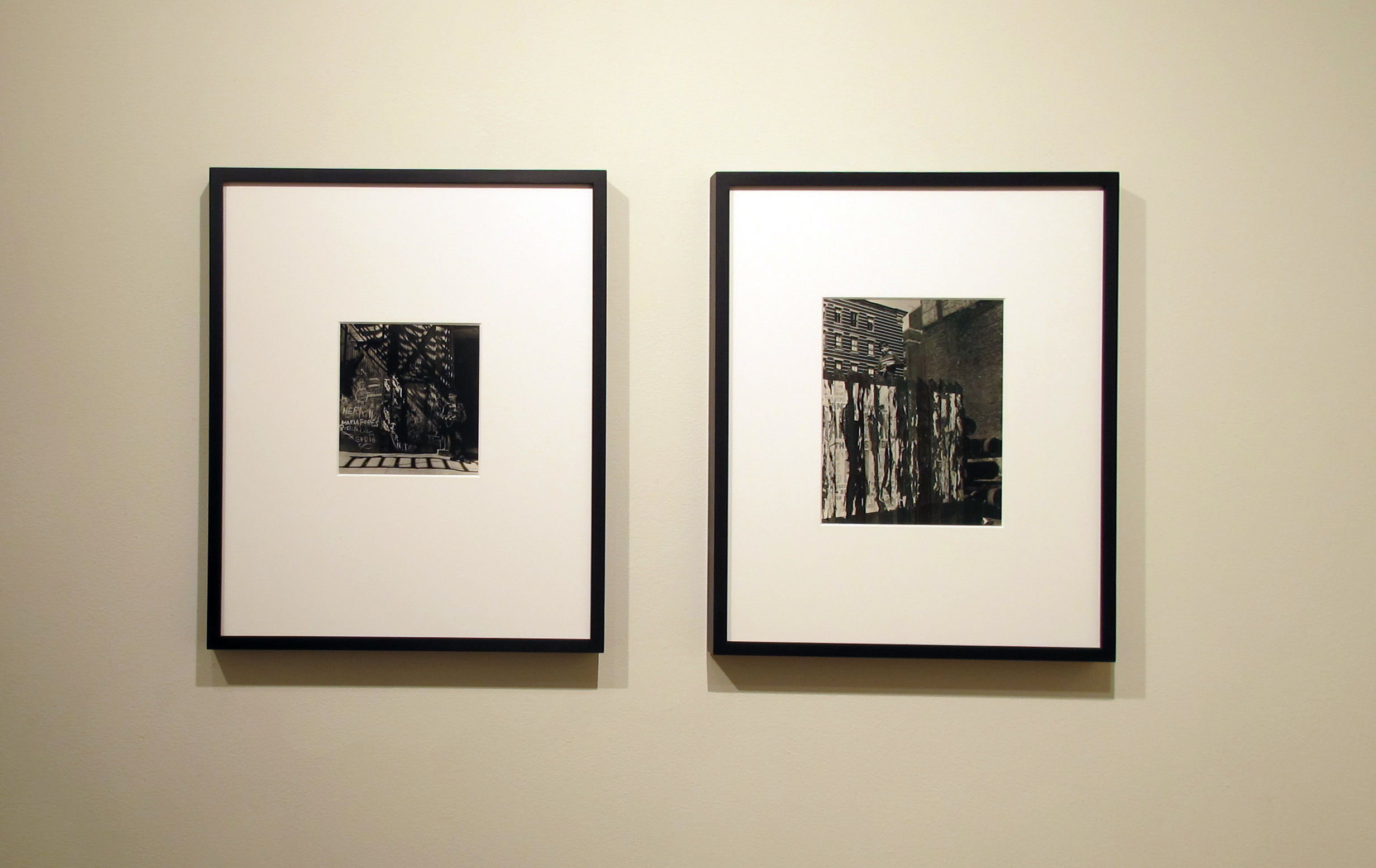 A Democracy of Imagery - Colin Westerbeck - Howard Greenberg Gallery - 2016