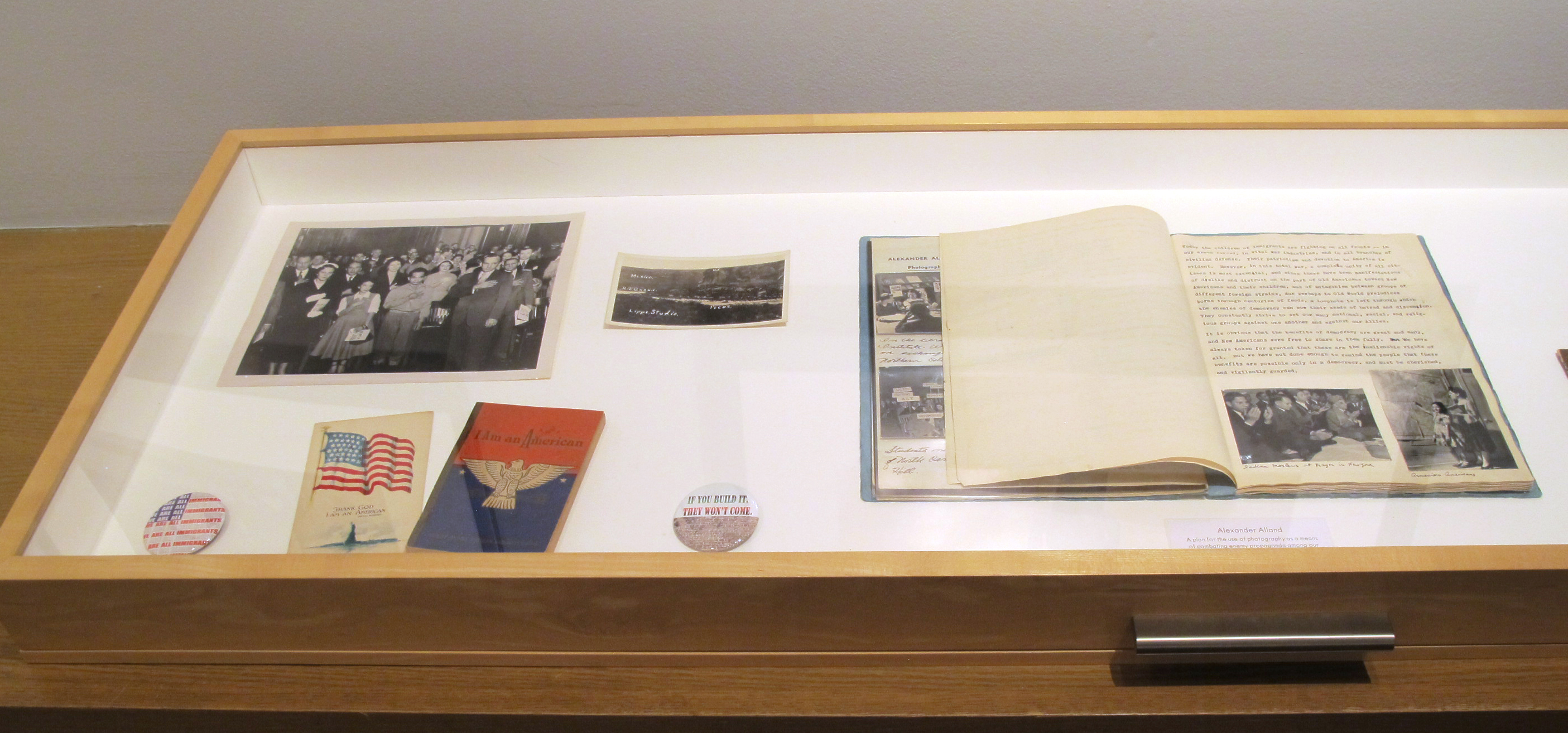 Tom Arndt Where I Live Howard Greenberg Gallery 2017