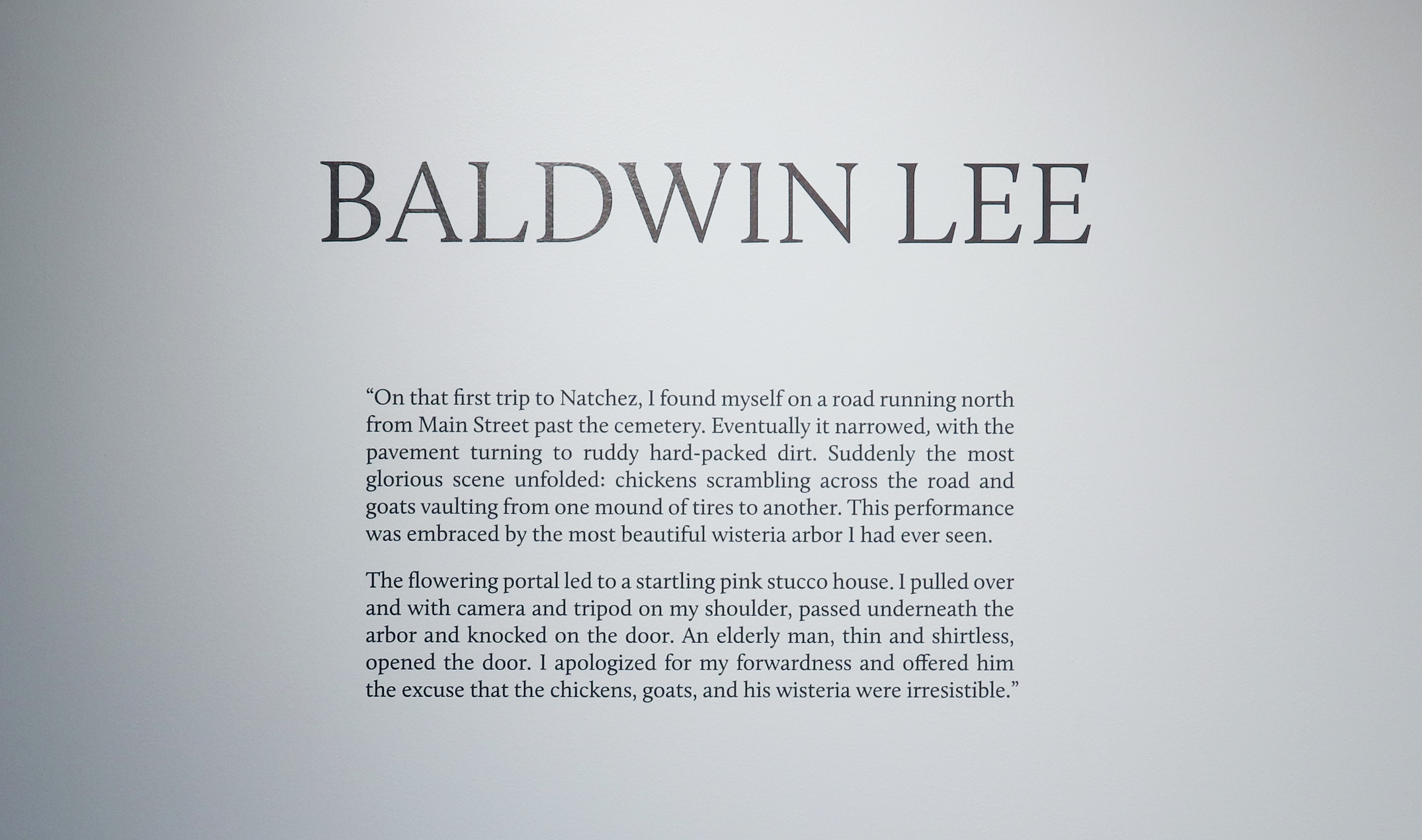 Baldwin Lee, Howard Greenberg Gallery, 2022